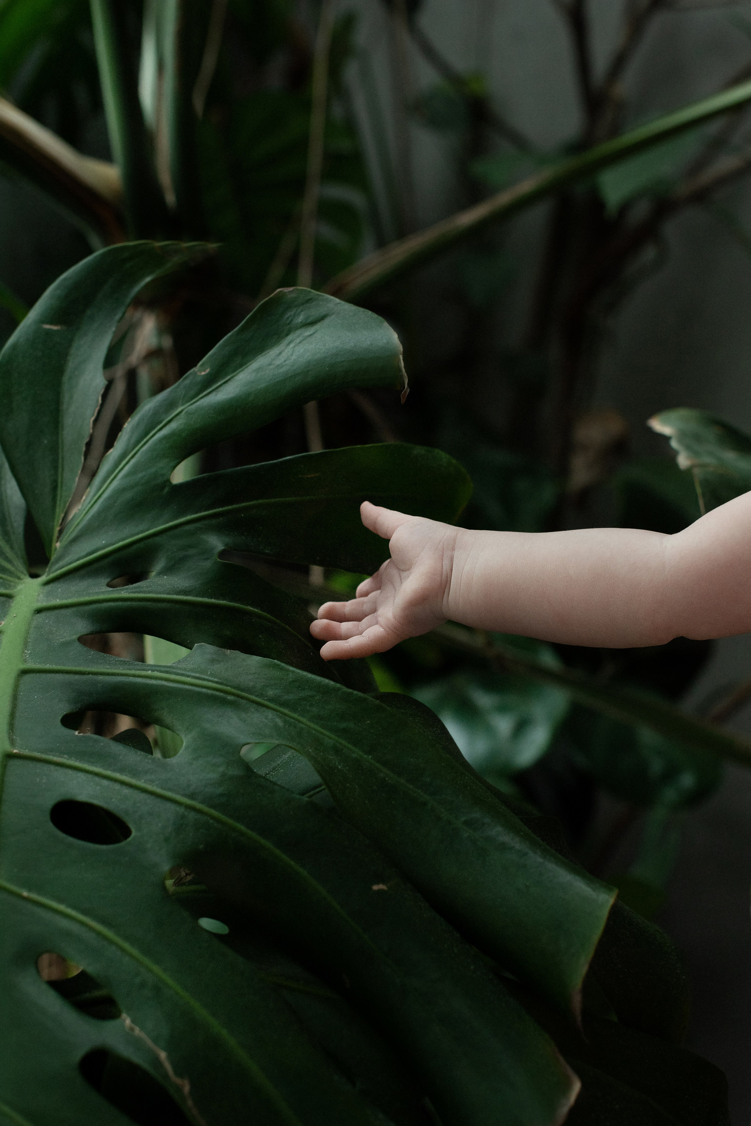 Настя & Лёвушка. Юлия Соколовская Фотограф Москва Красногорск