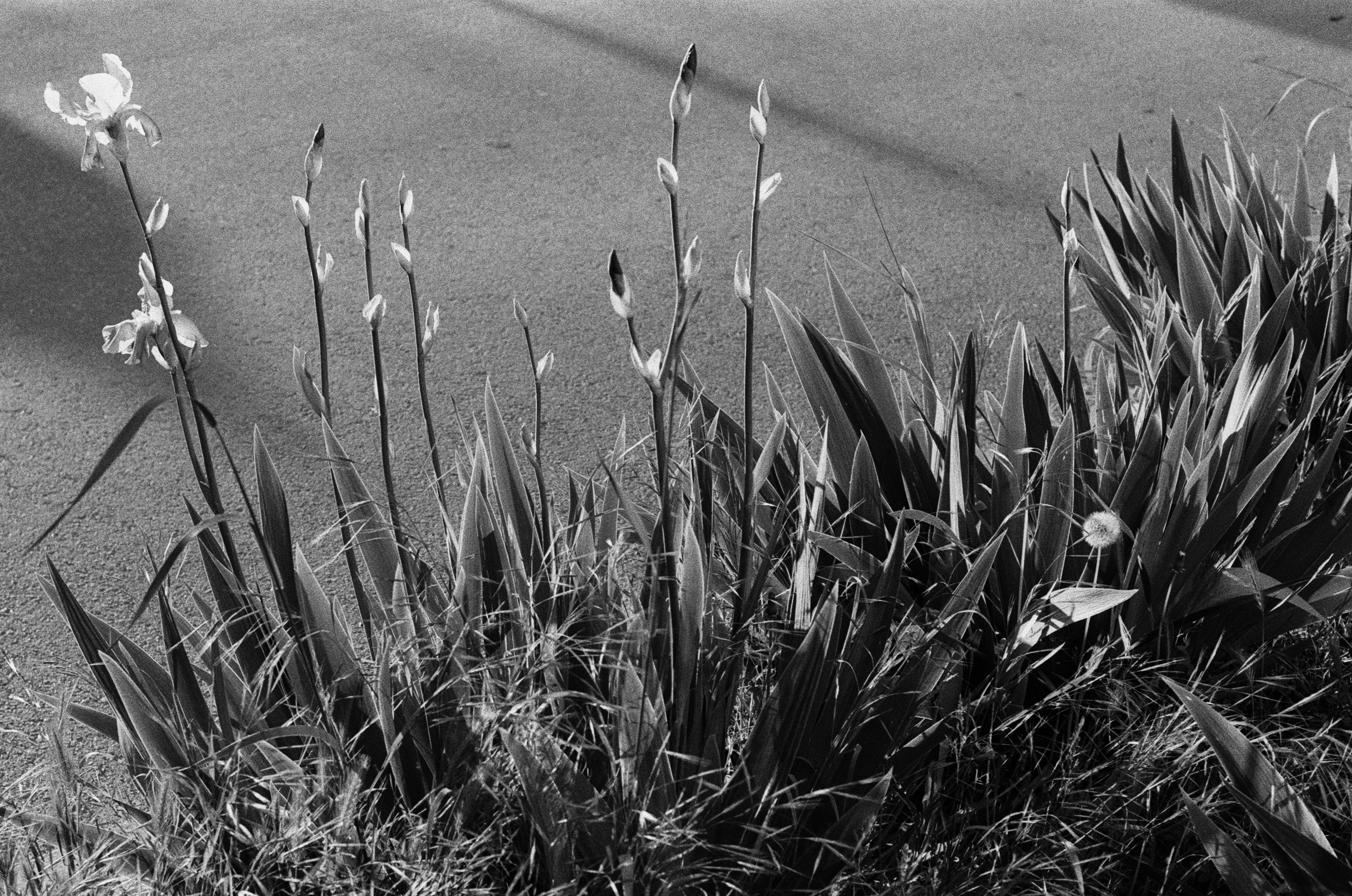 Oblomki chuvstv // ukraine, crimea IV. EVER EXPOSED