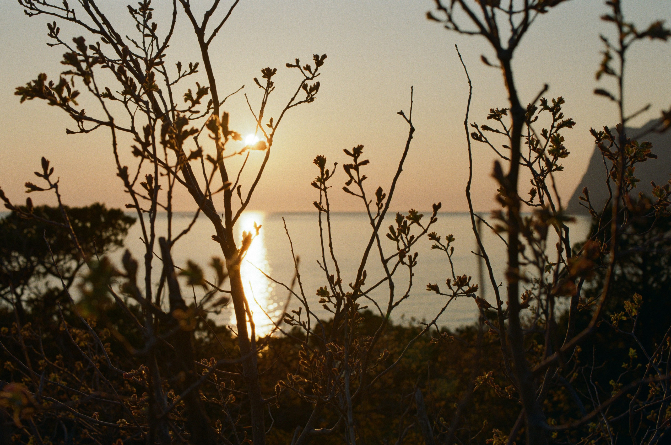 Some kind of madness // ukraine, crimea II. EVER EXPOSED
