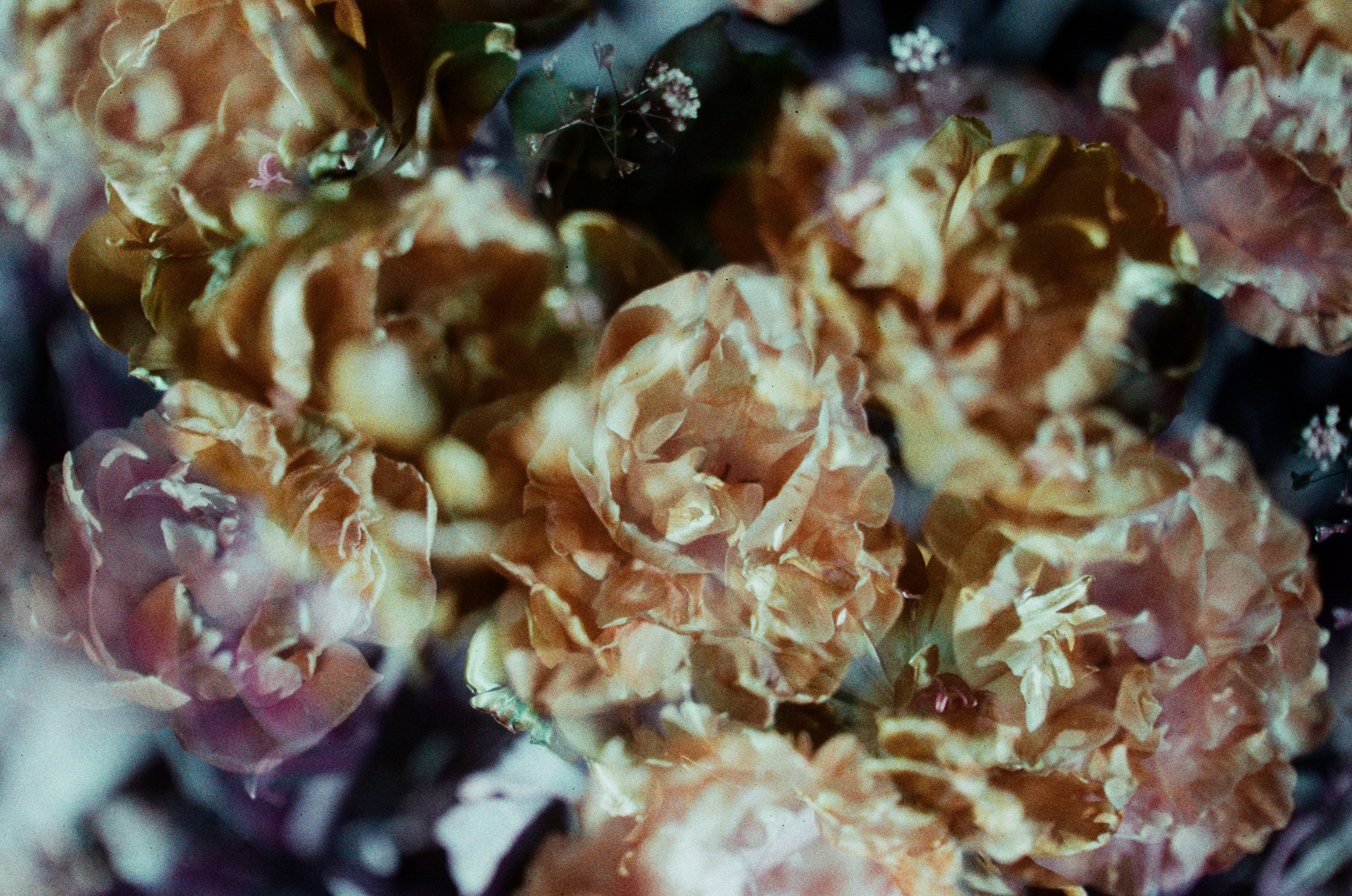 Press enter to exit // ukraine, crimea VIII. EVER EXPOSED