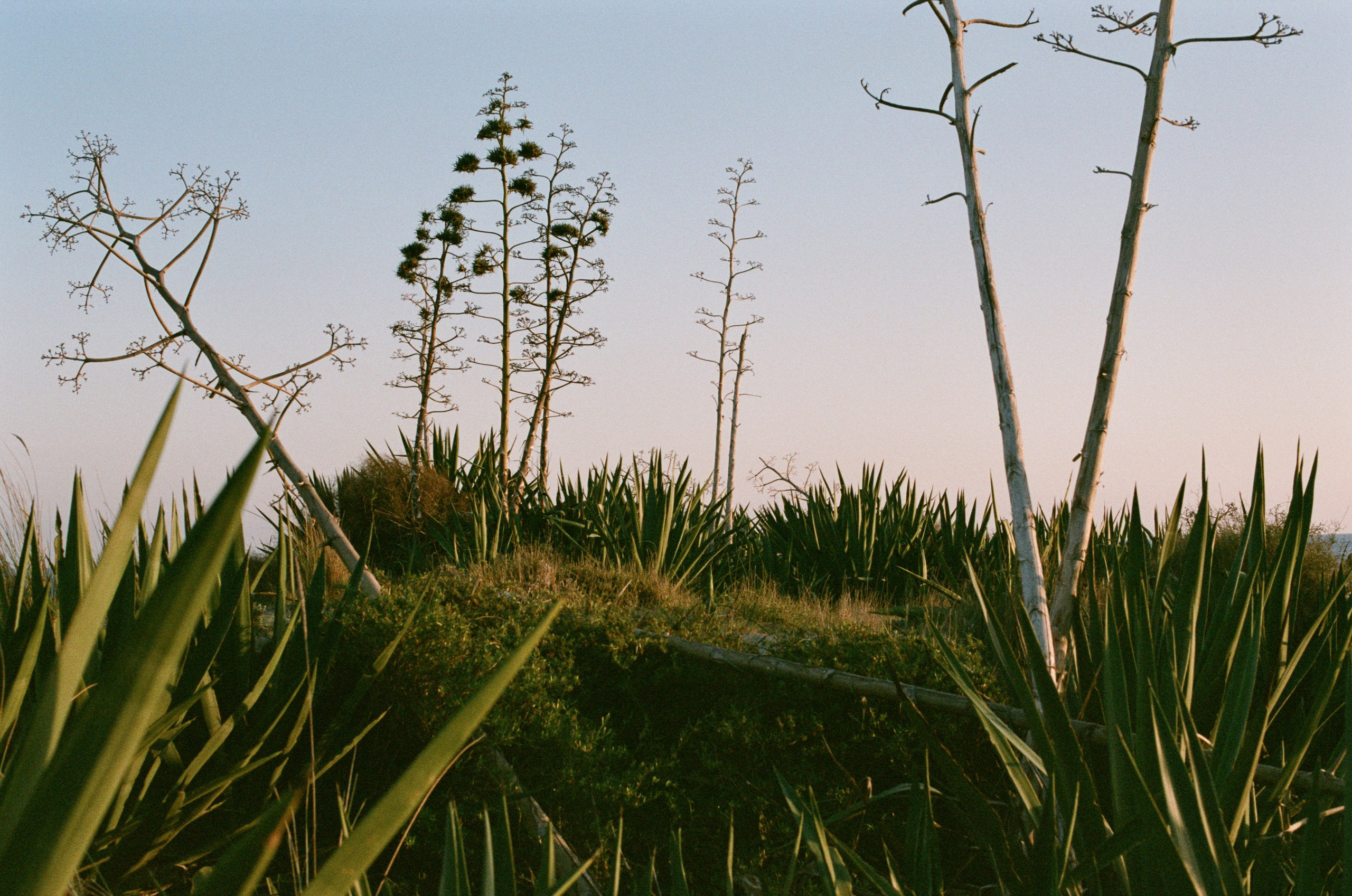 Spanish sahara // spain, cabo de gata II. EVER EXPOSED