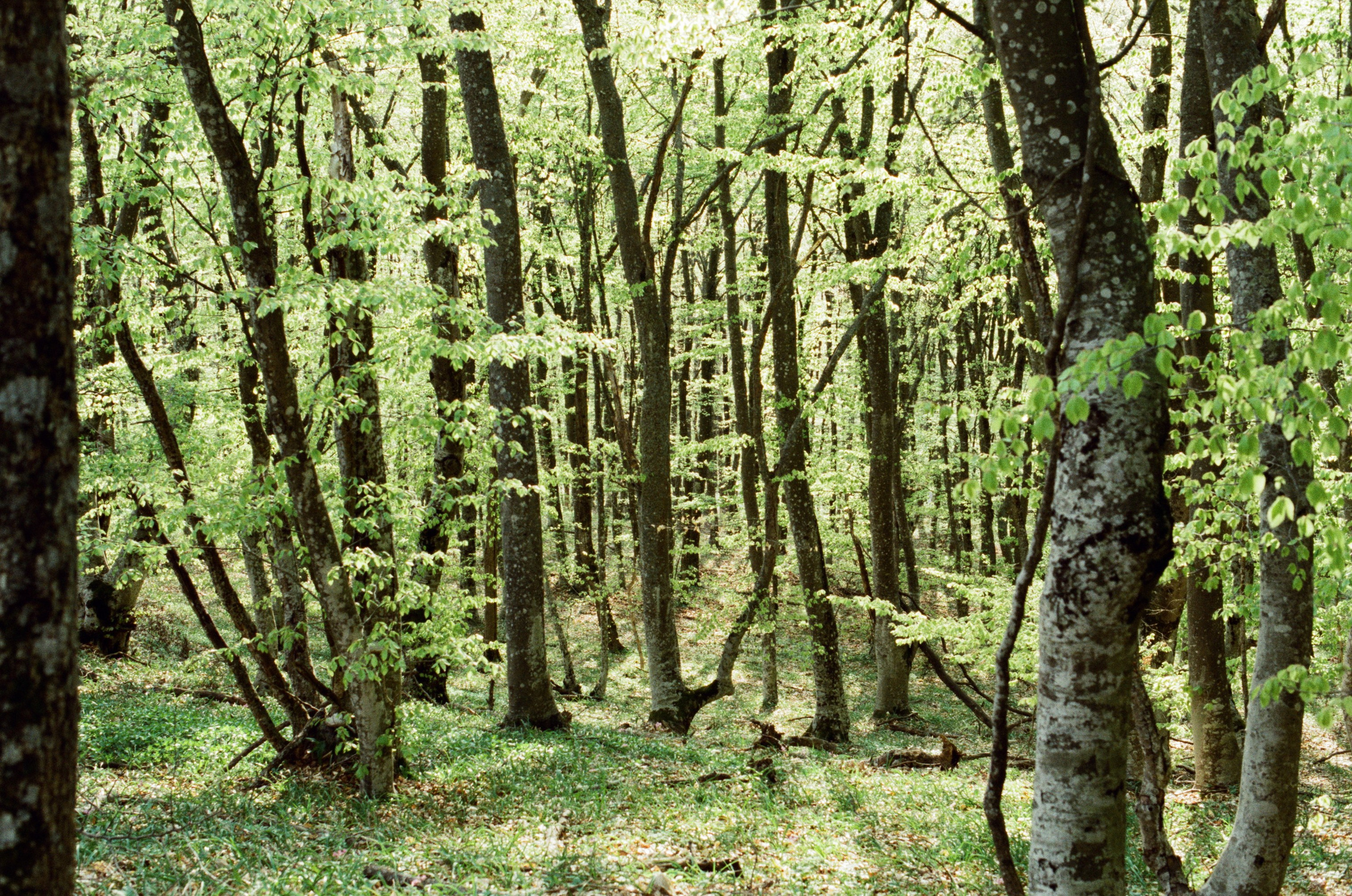 Some kind of madness // ukraine, crimea IV. EVER EXPOSED