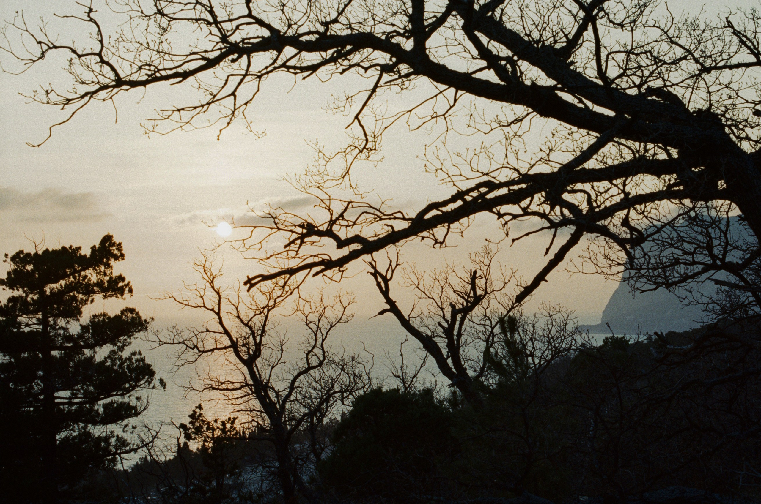 Some kind of madness // ukraine, crimea II. EVER EXPOSED