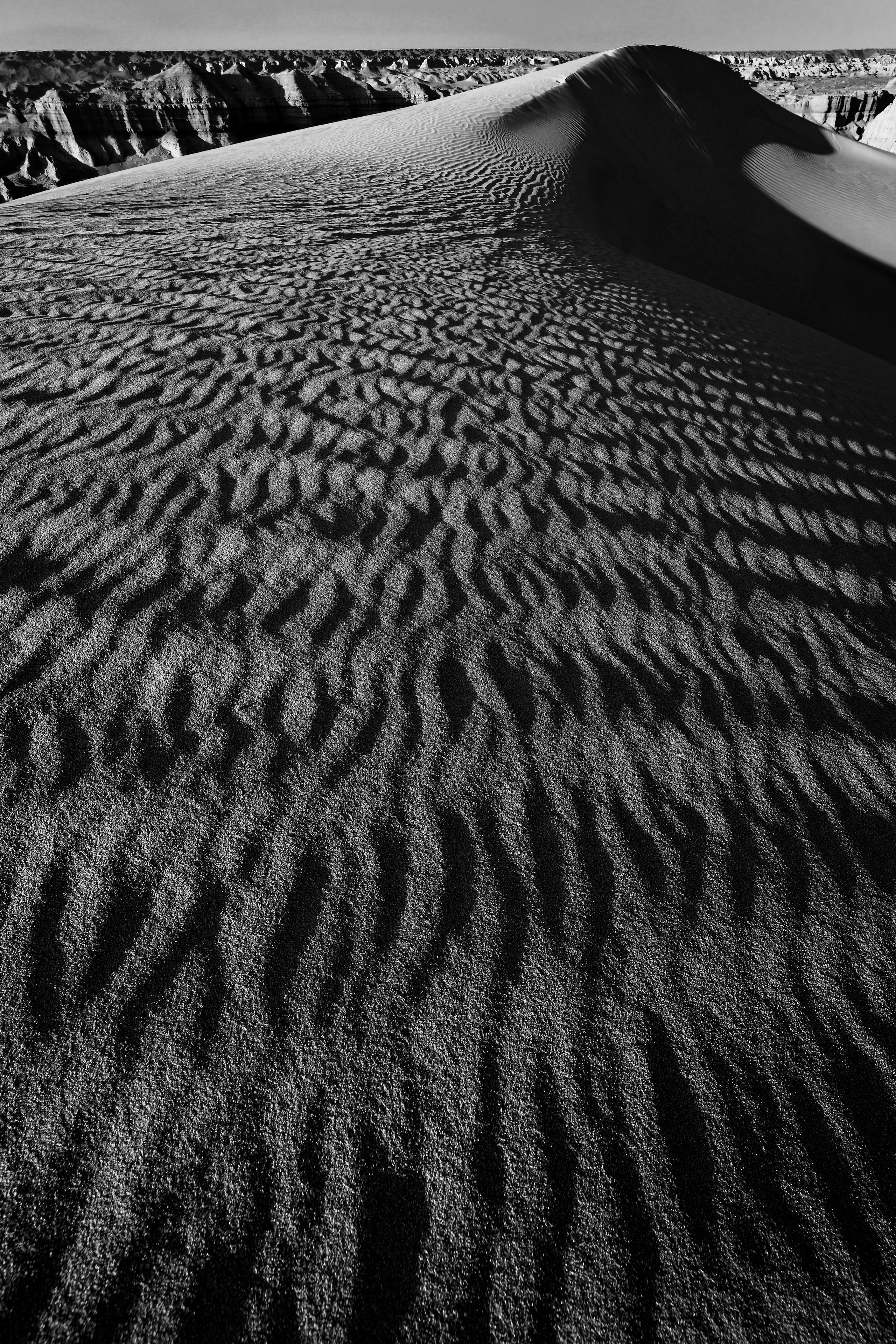 Экспедиция в Монголию (Гоби). Семоха Валерий. Фотограф