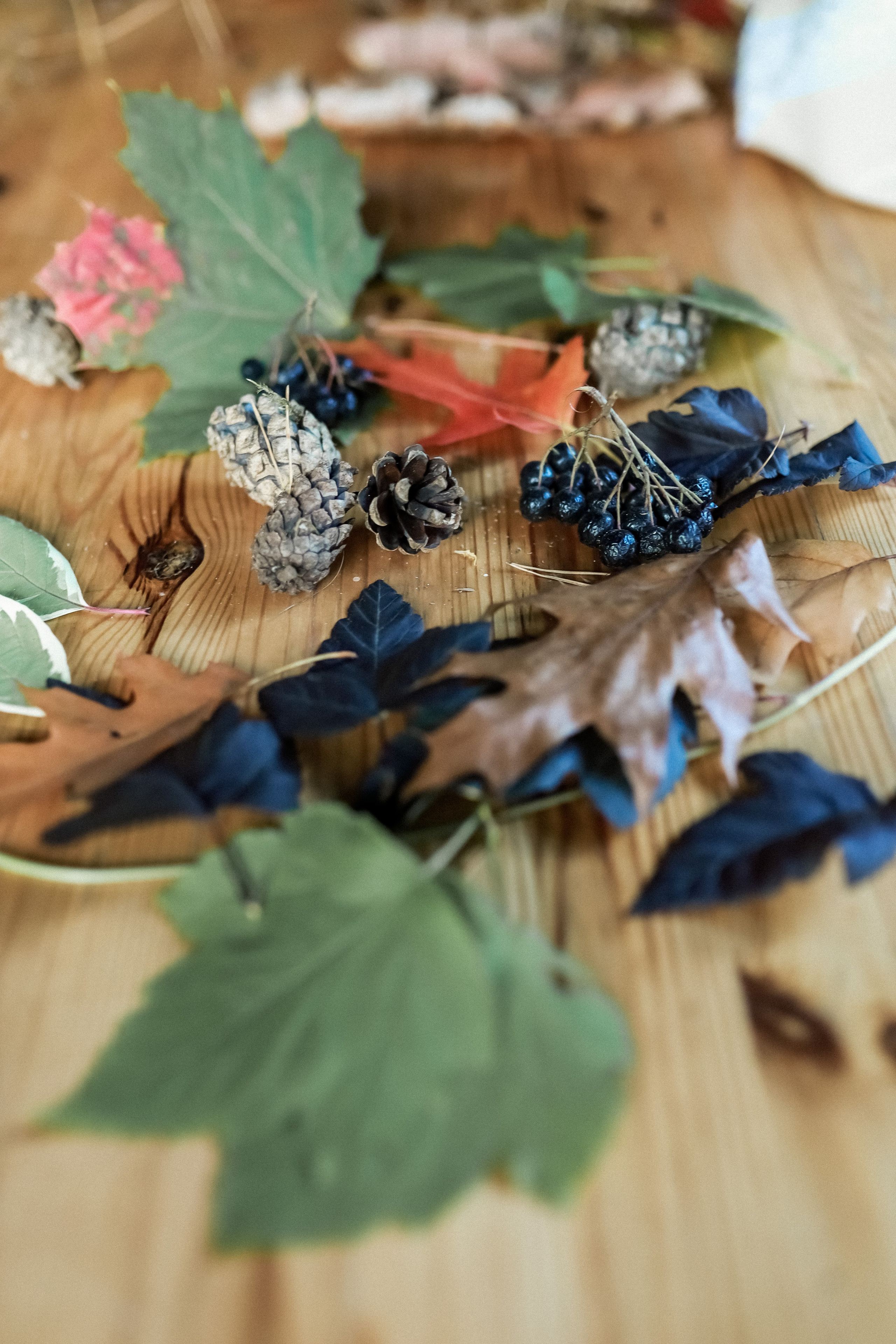 И снова вместе! Йога дача!. Профессиональный фотограф, Москва |Видное Елена Елизарова