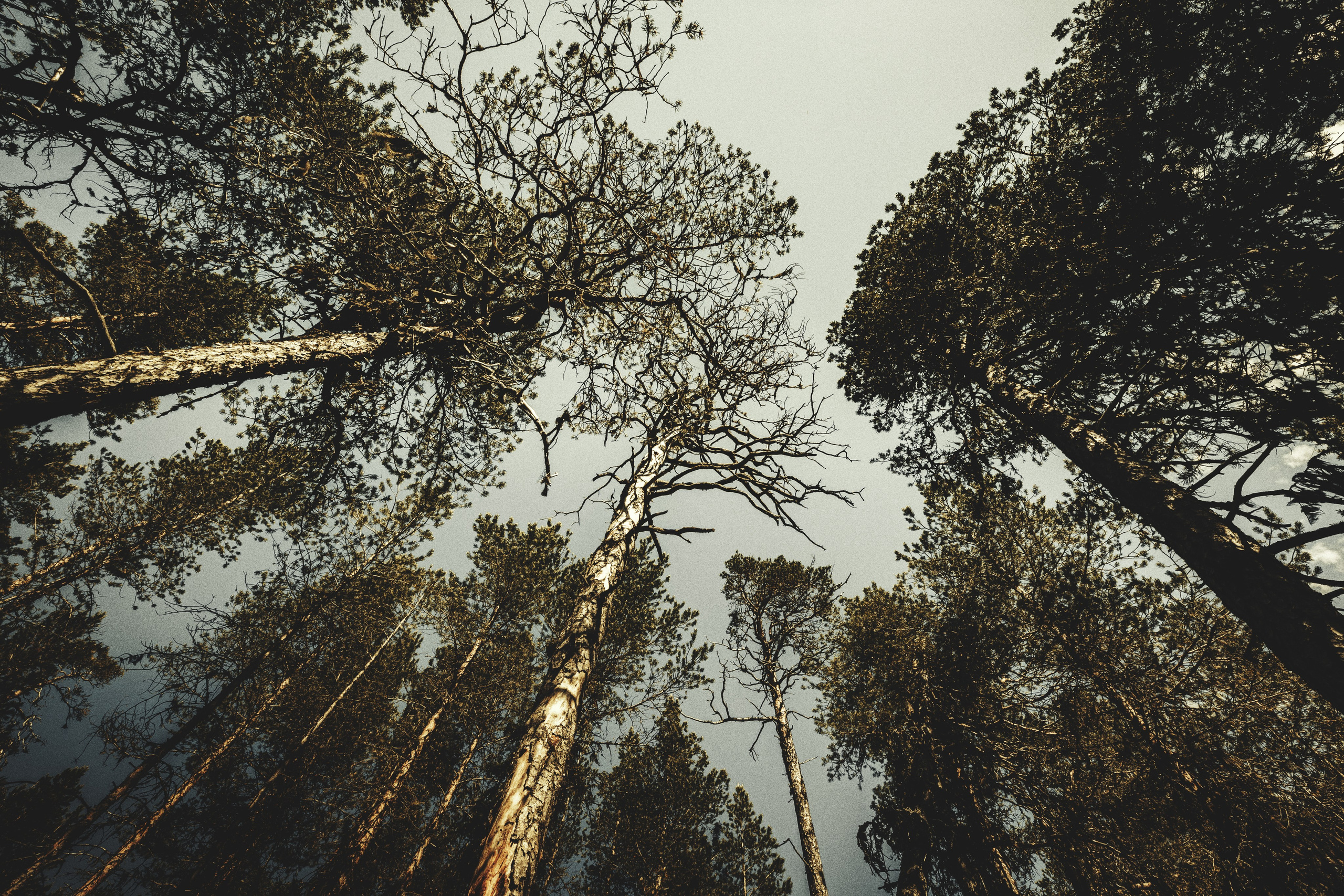 Ау. Фотограф — путешественник Светлана Романовская