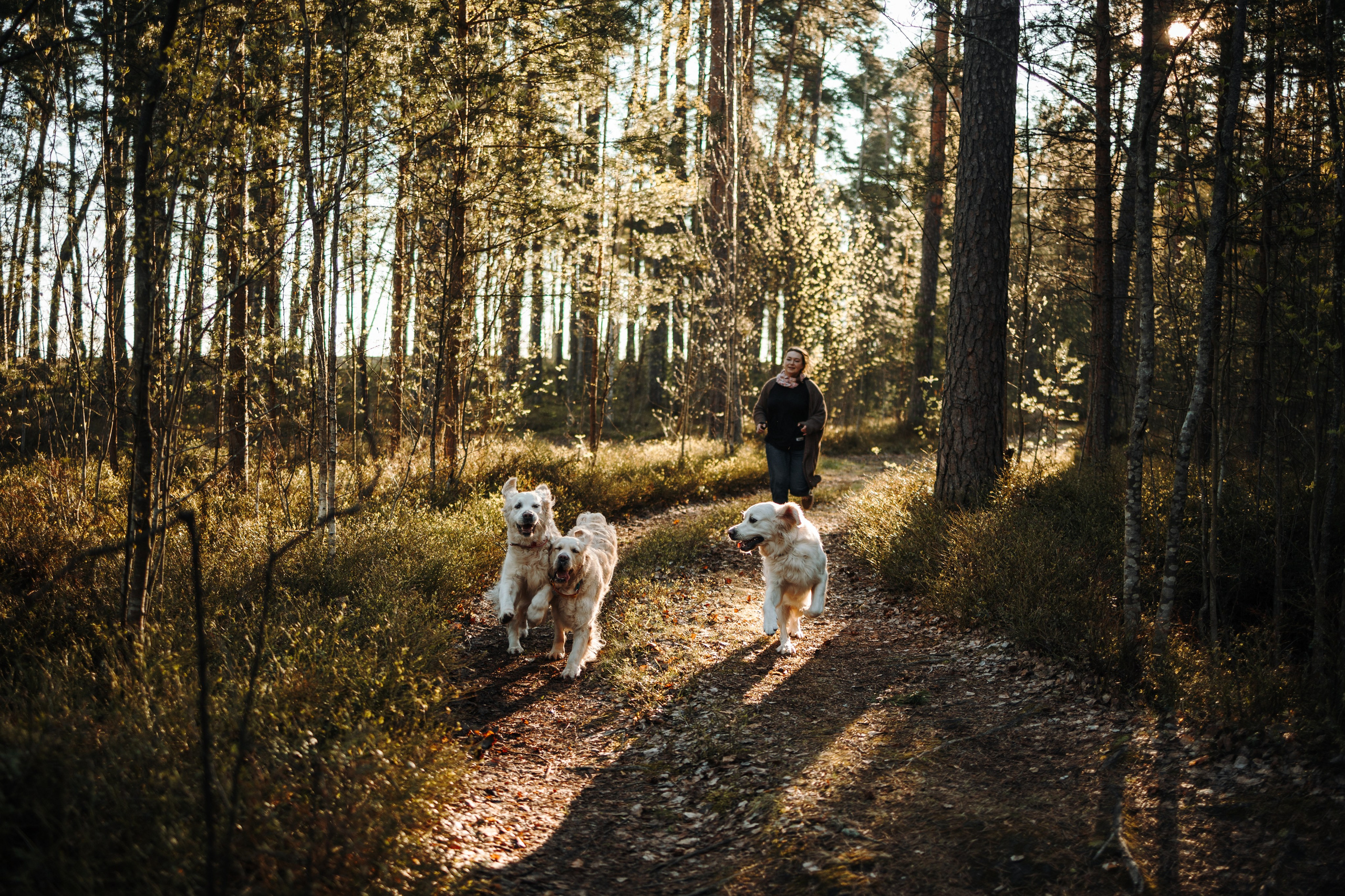 Катя и ее девочки. Фотограф — Анималист | Санкт-Петербург