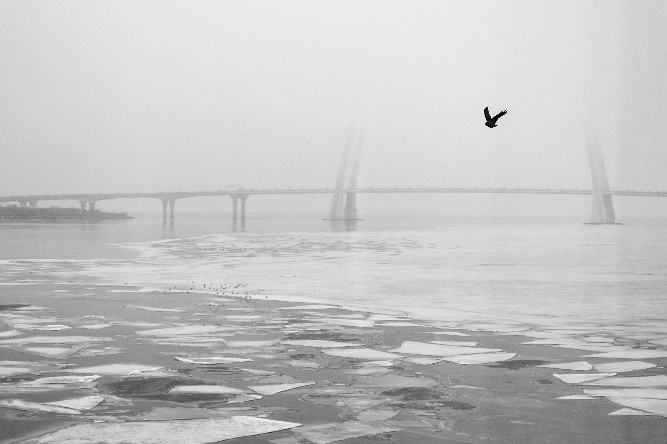 Уличная съемка. Фотограф и оператор Илья Гунбин