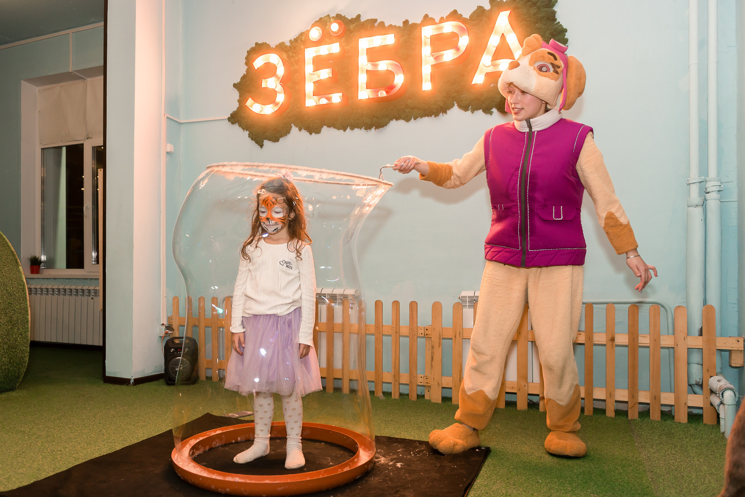 День Рождения в Зёбре на Шахтёров 08.2025. Детский фотограф, семейный фотограф и репортажи в Кемерово