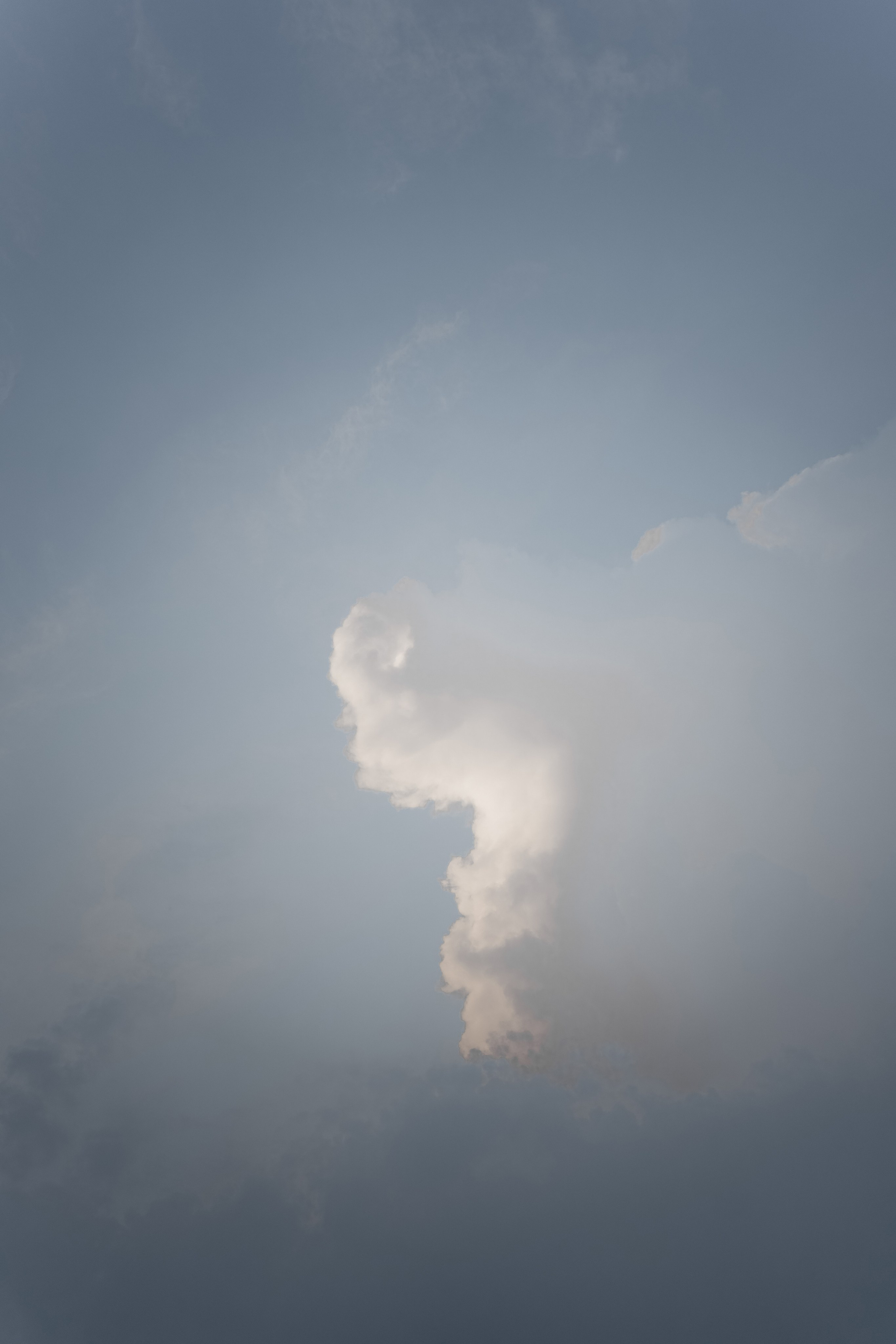 Марина и Никита, прогулка. Фотограф Перевозкина Анна