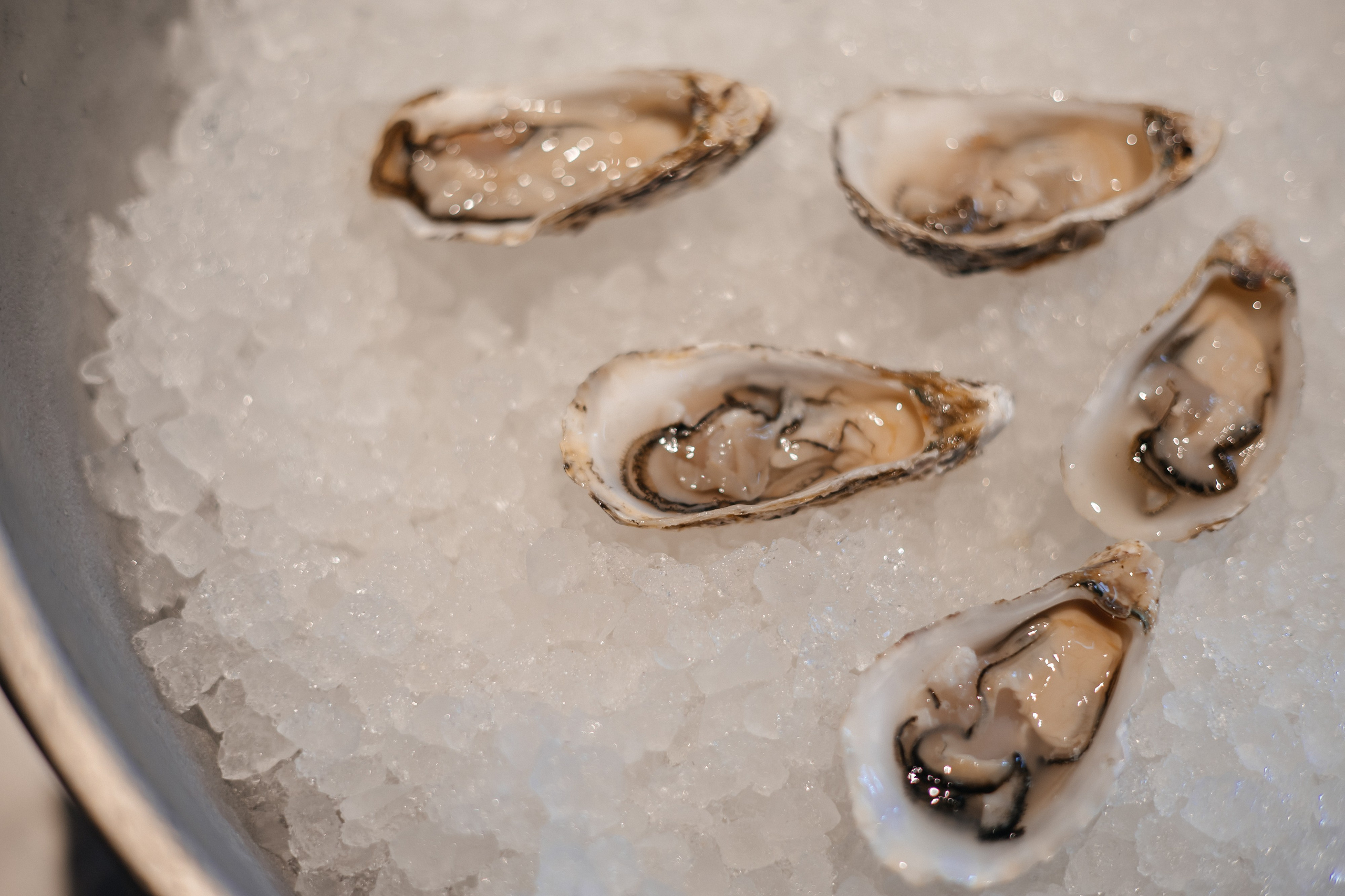 Юбилей Наталии. SAVVA. Фотограф Москва Людмила Белова