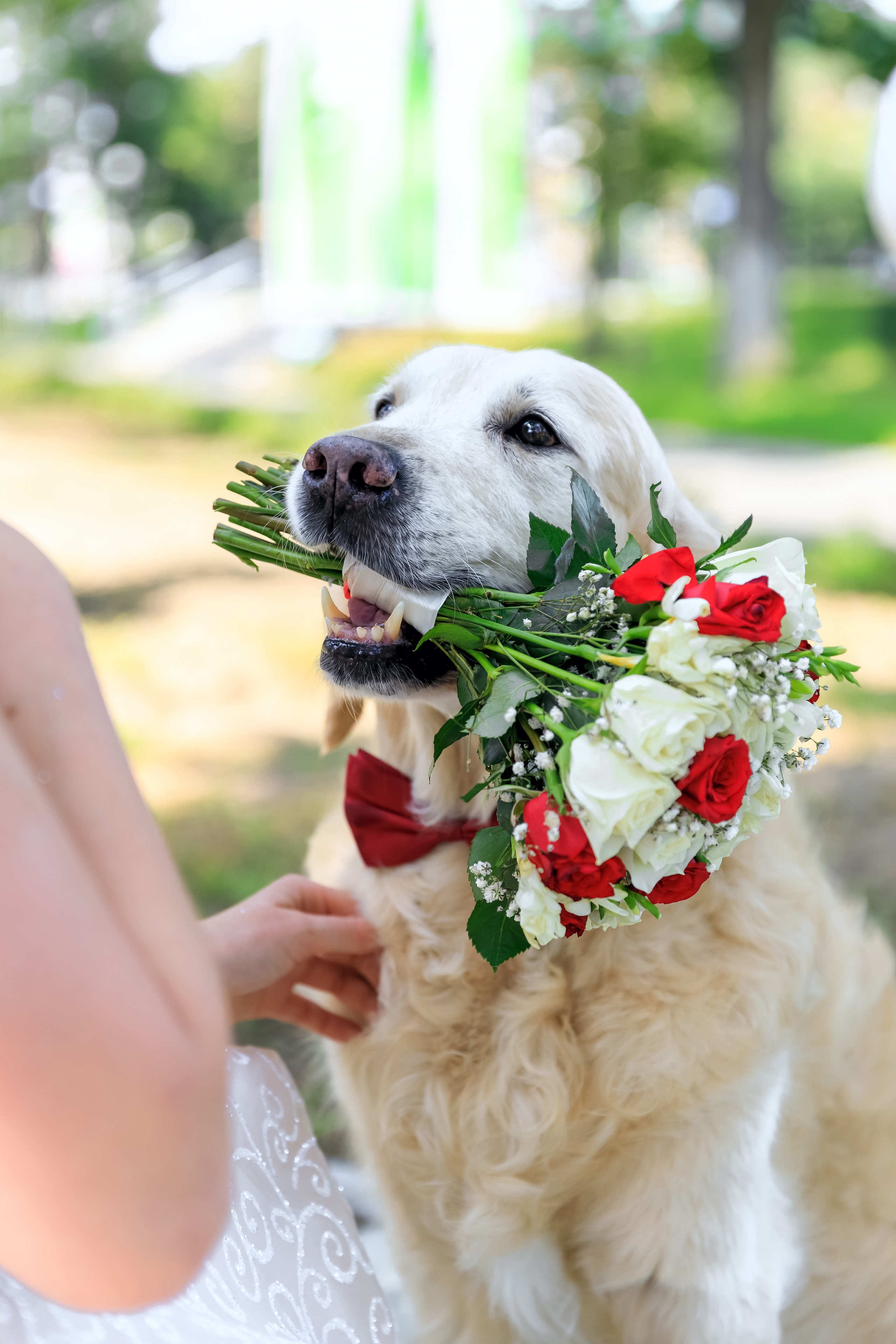 Сборник. Свадебный фотограф во Владивостоке, Уссурийске и городе Артём