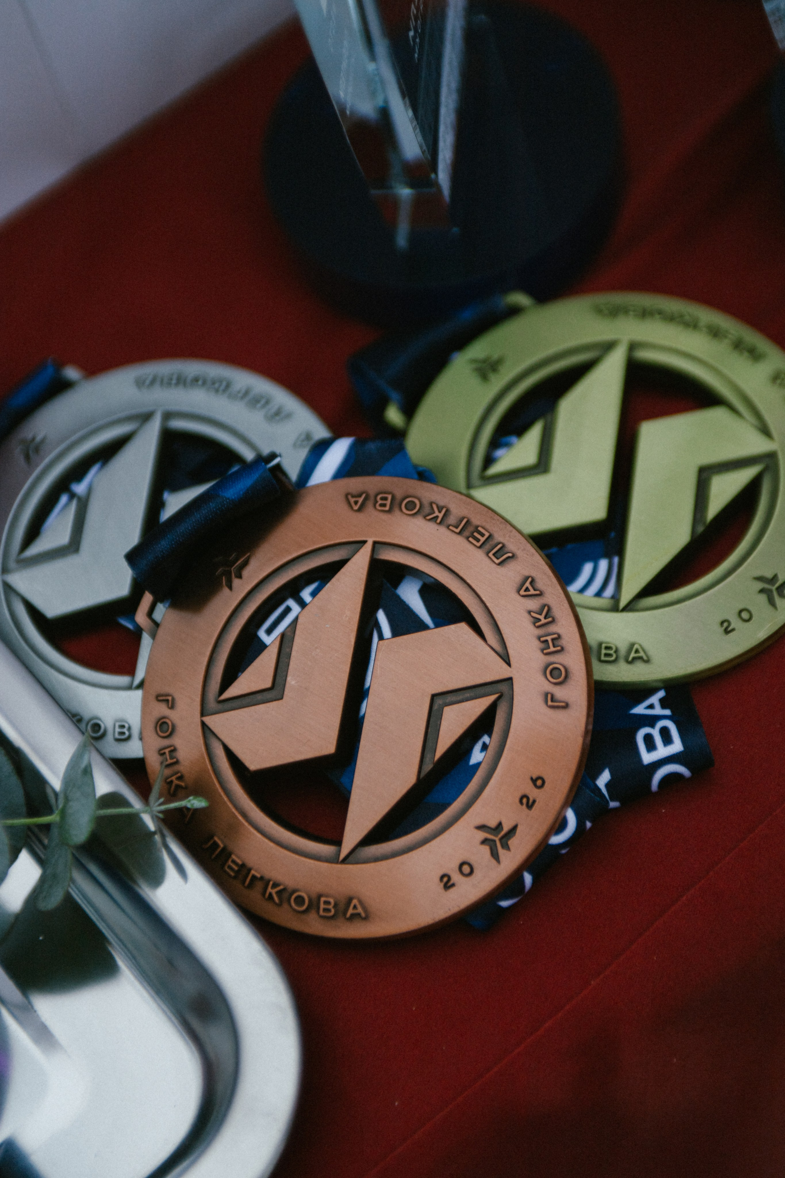 Лыжные гонки