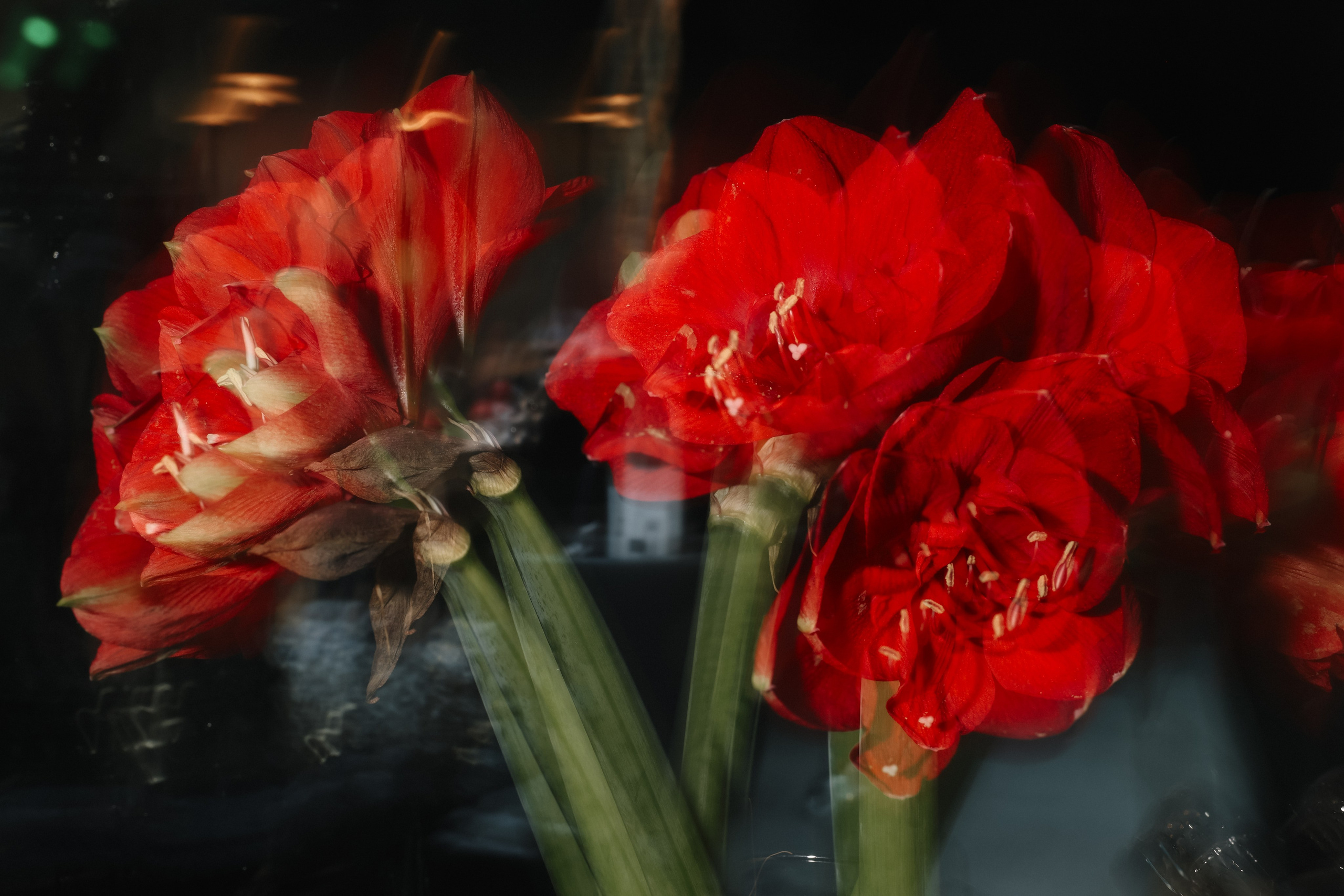 DENIS & ELIZAVETA Барвиха. Kharchenkotatianaweddingphoto