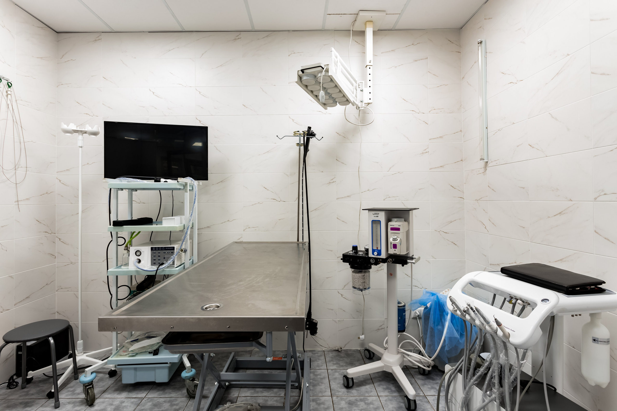 Интерьерная съемка для ветеринарной клиники КотОся. Интерьеры, Контент, Портреты | Фотограф в Москве Дани Терно