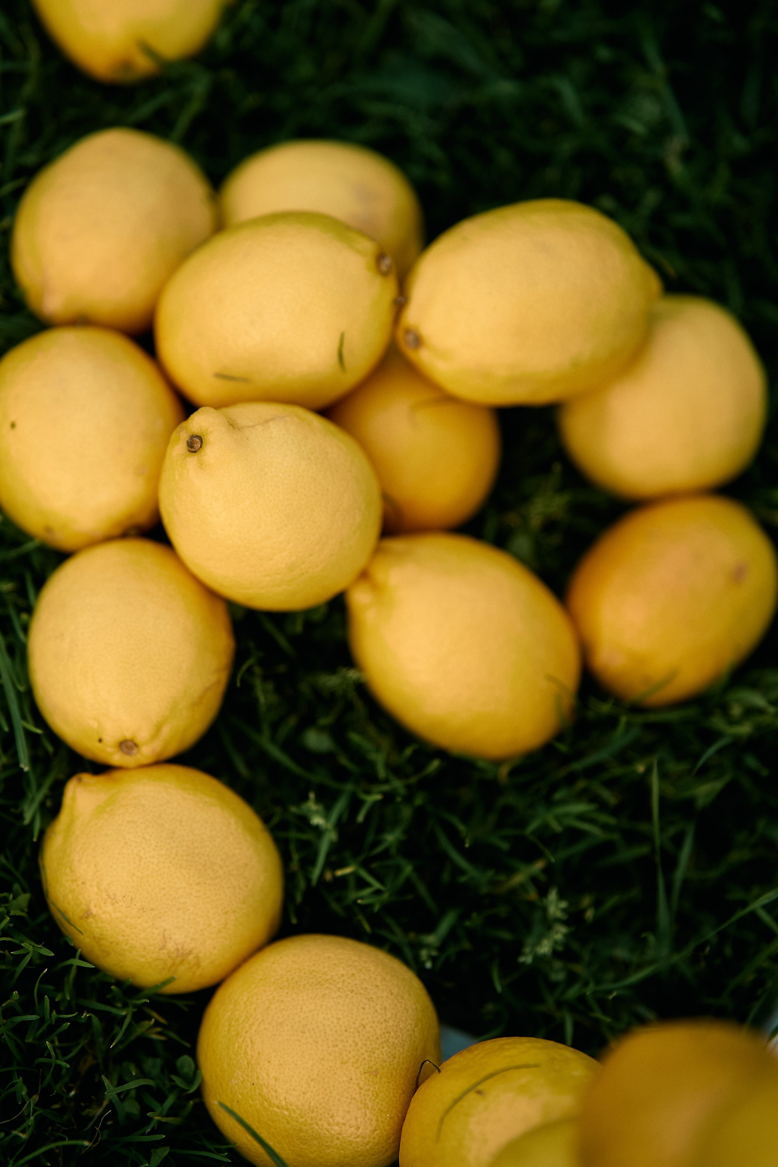 Виталий и Диана. Свадебный фотограф Минск РБ