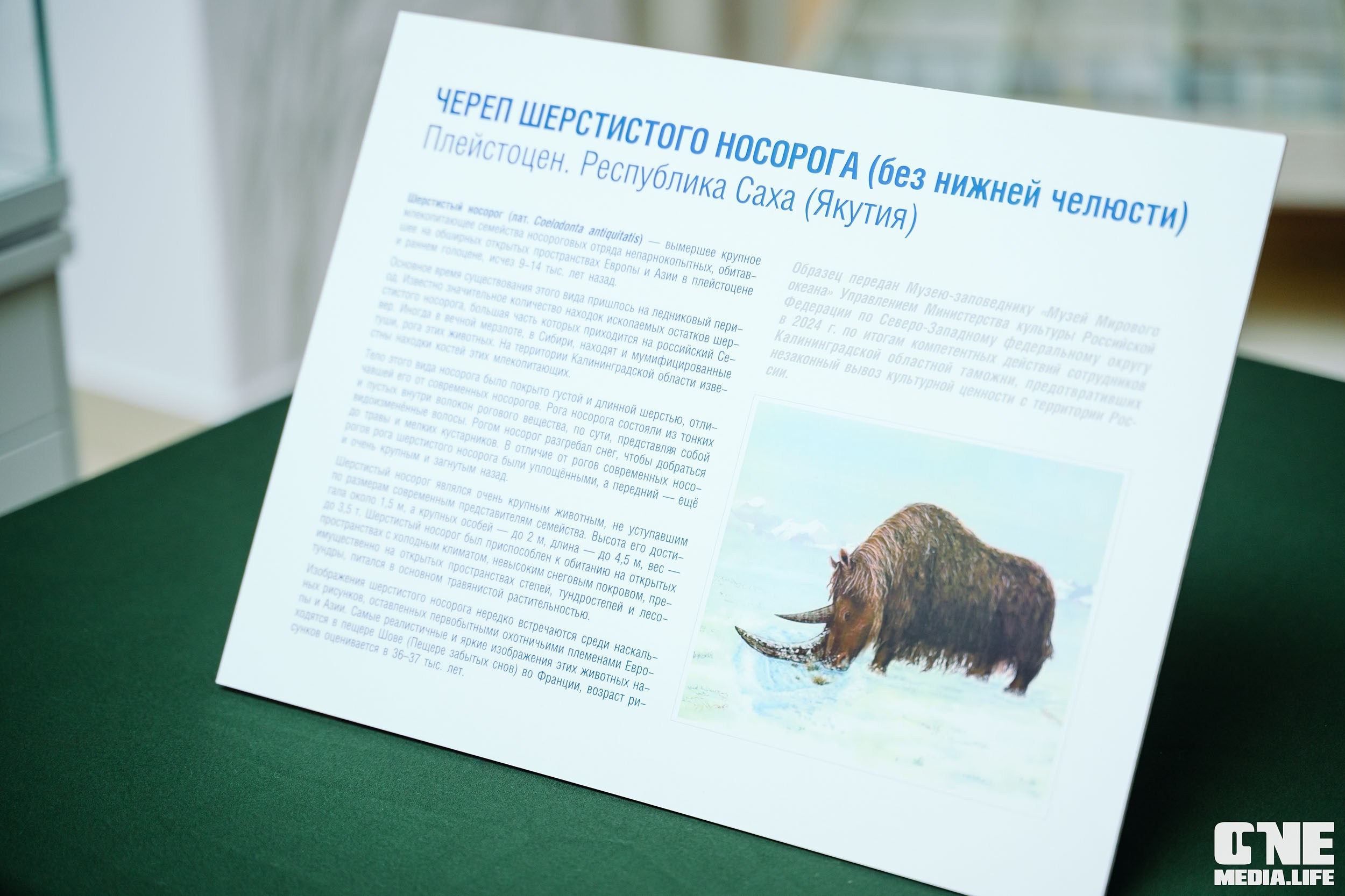 Балтийский Культурный Форум 2024. One Media Life: фоторепортажи, фотоотчеты с мероприятий и заведений