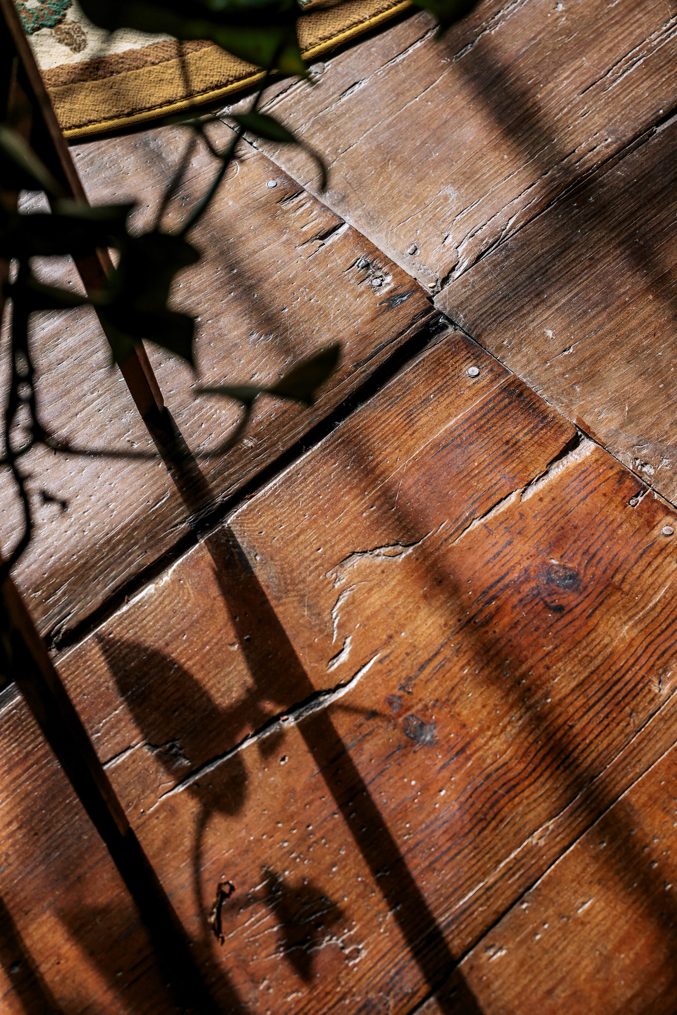 Emblemática Los Helechos. Фотограф Виктория Волкова. Москва