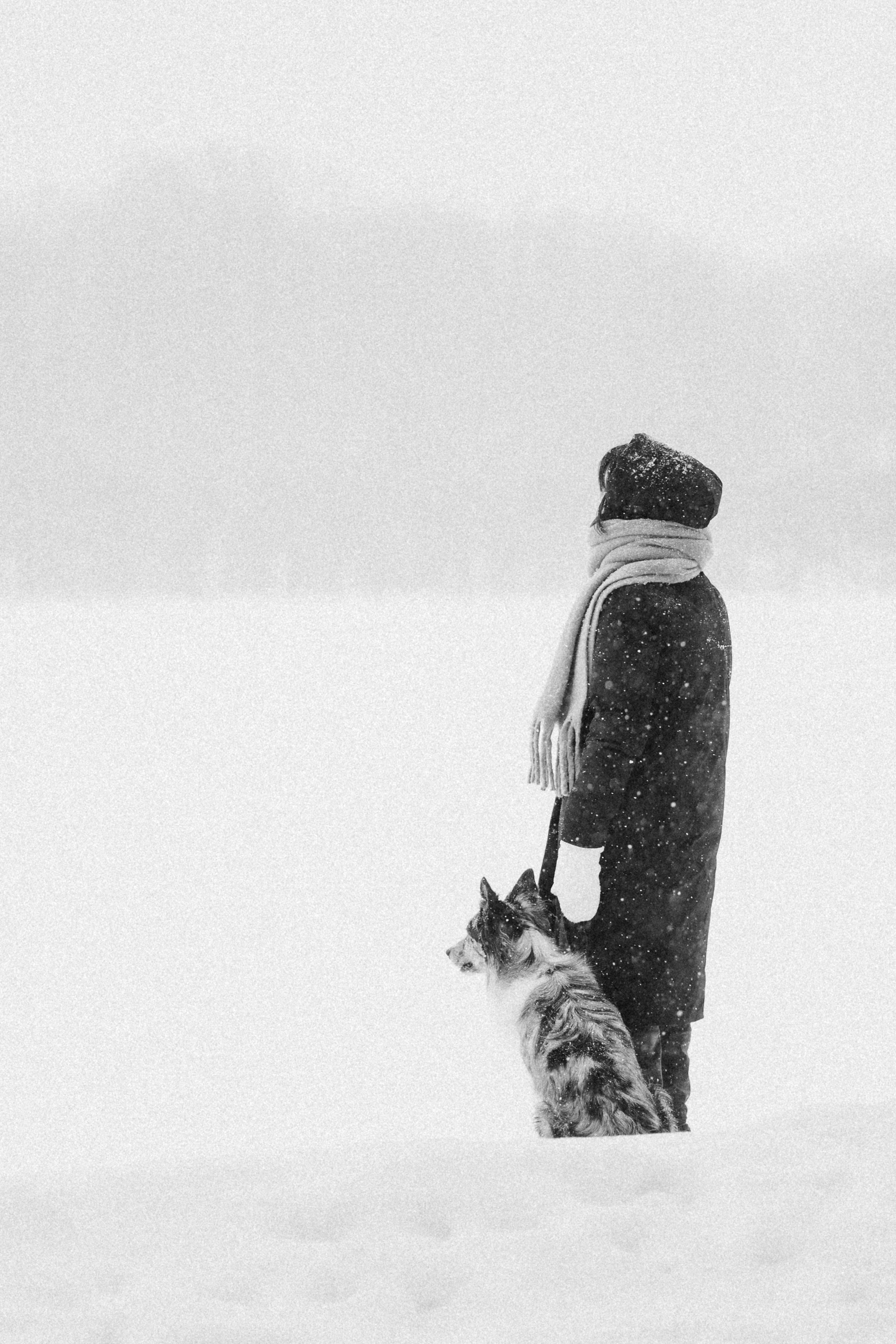 Настя и Тор. Фотораф — анималист Мария Шистка