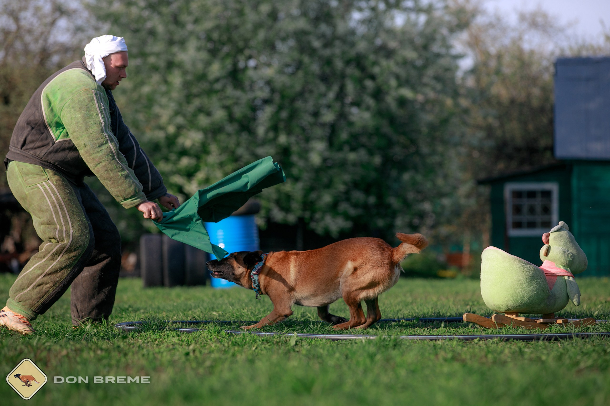 Семинар для фигурантов, день 4. Фотограф-анималист Mary Mart — Москва, Питер