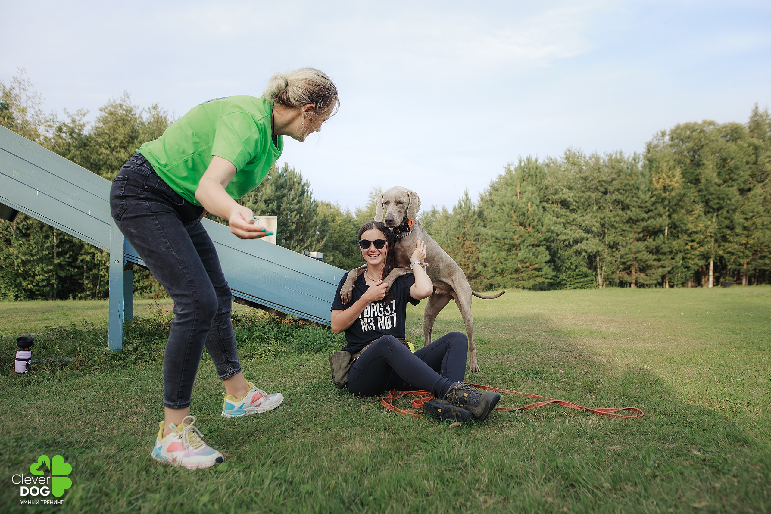 Кинологический лагерь CleverDog, 2024. Фотограф-анималист Mary Mart — Москва, Питер