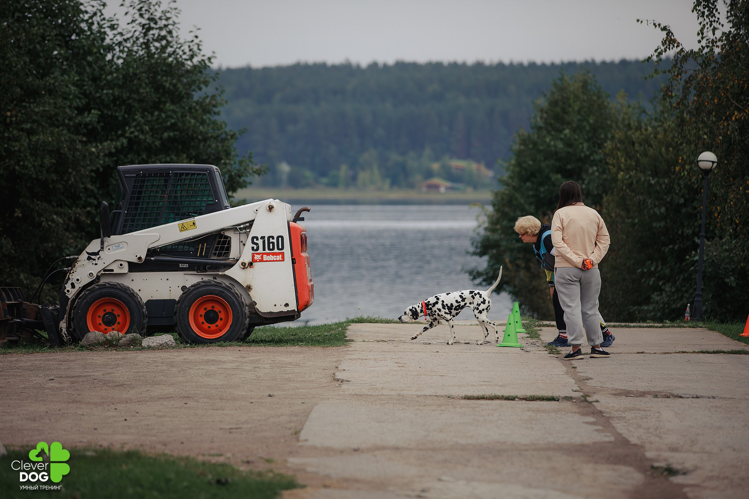 Кинологический лагерь CleverDog, 2024. Фотограф-анималист Mary Mart — Москва, Питер
