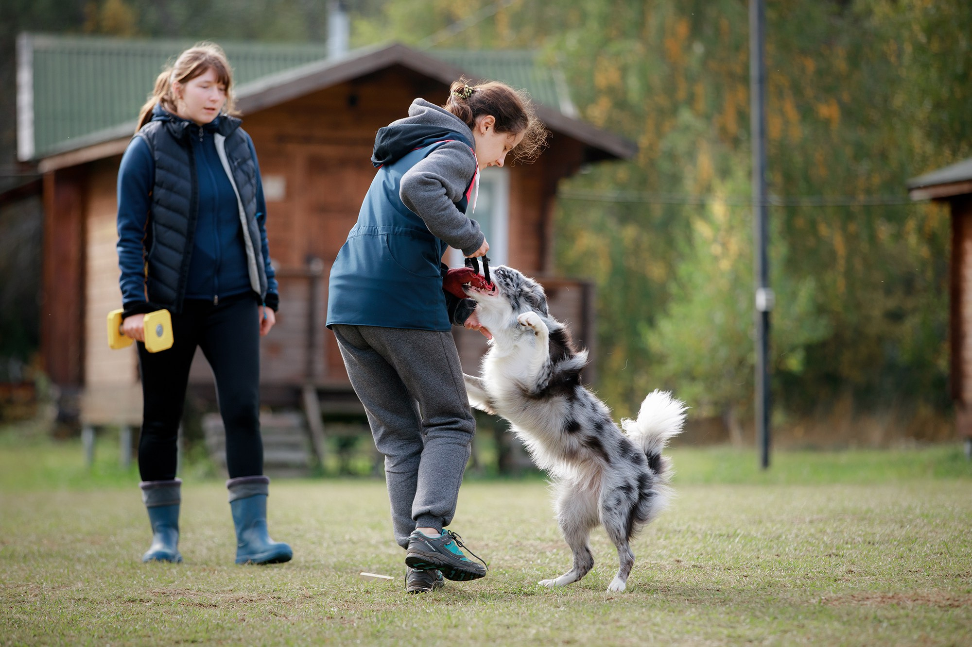 Лагерь по ОБД с Инной Баженовой. Фотограф-анималист Mary Mart — Москва, Питер