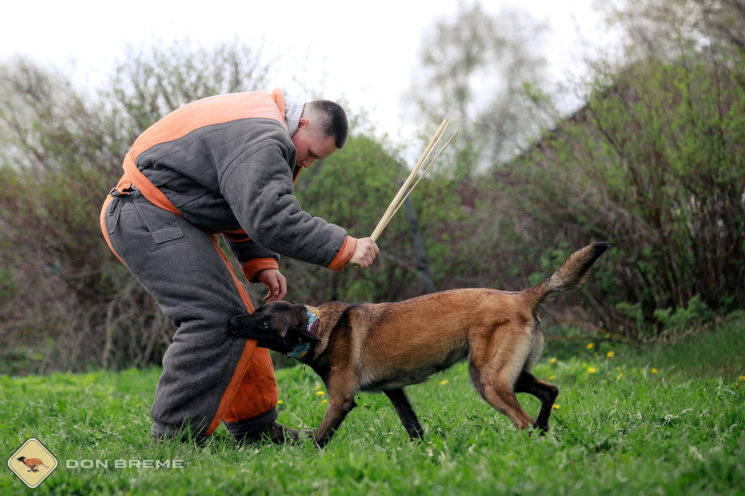 Семинар для фигурантов, день 2. Фотограф-анималист Mary Mart — Москва, Питер