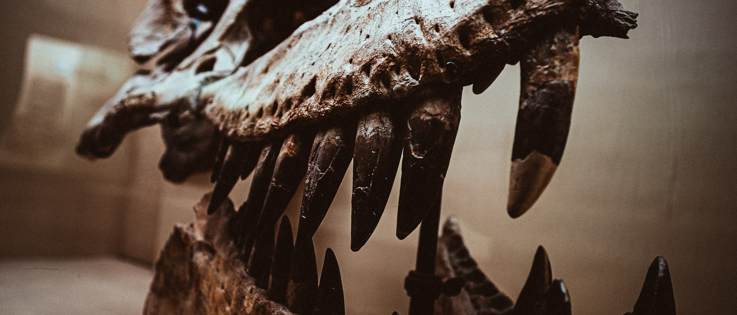 Палео. Фёдор Малюгин. Ваш бади в визуале