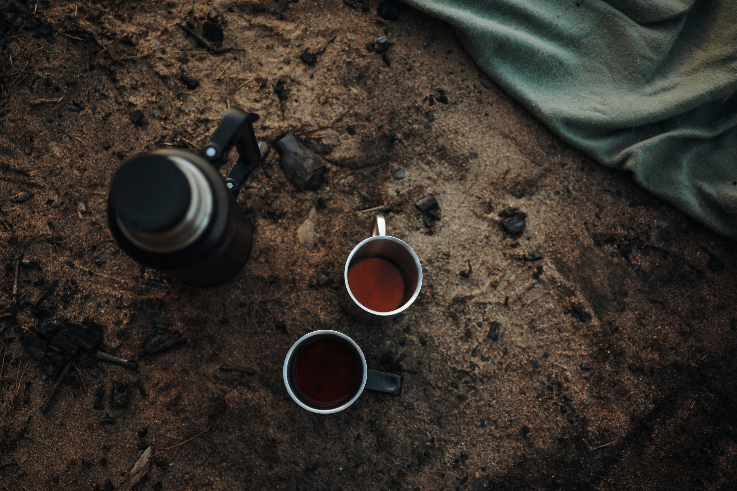 Найт и его семья. Фотограф — Анималист | Санкт-Петербург