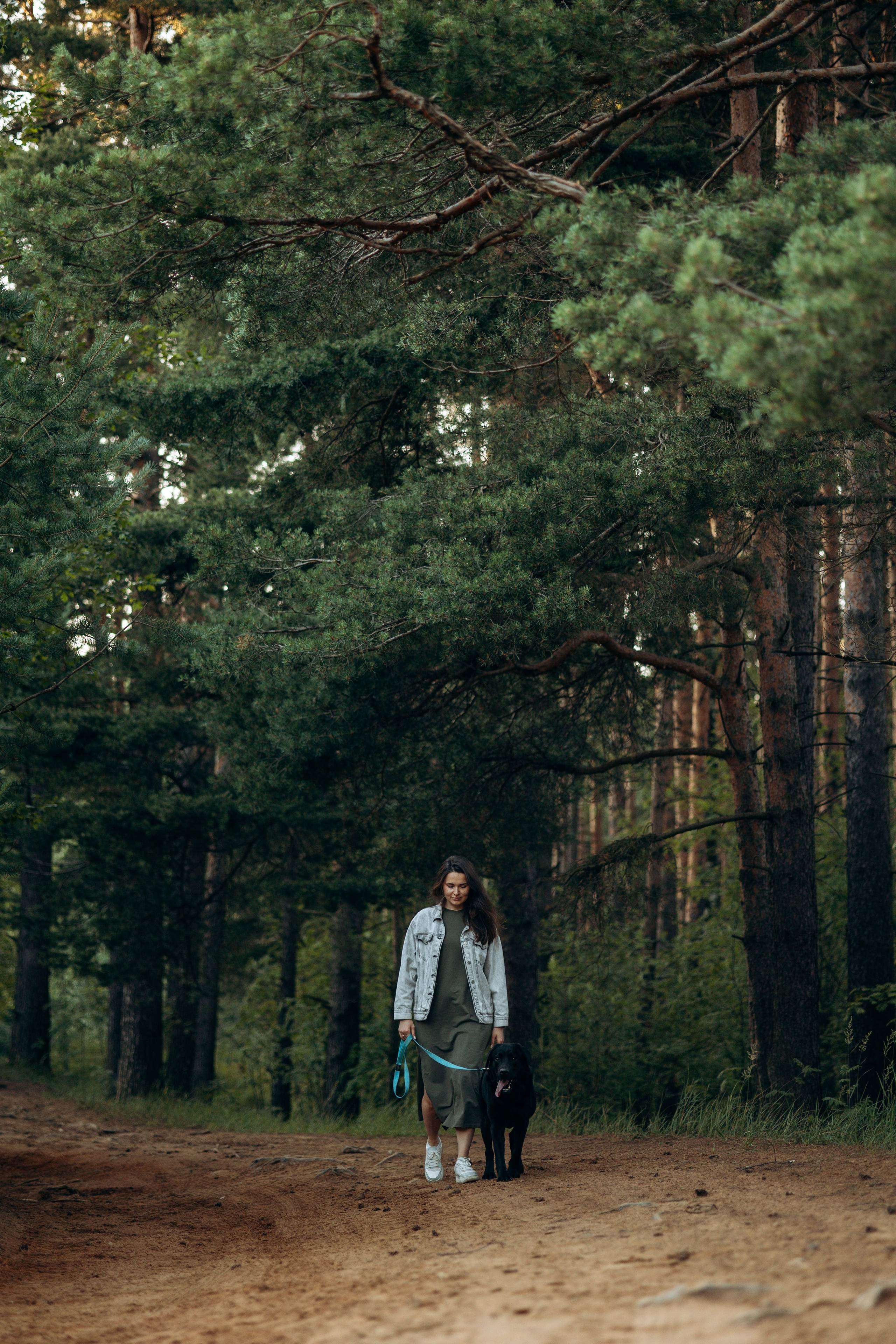 Бомбей и его семья. Фотограф — Анималист | Санкт-Петербург