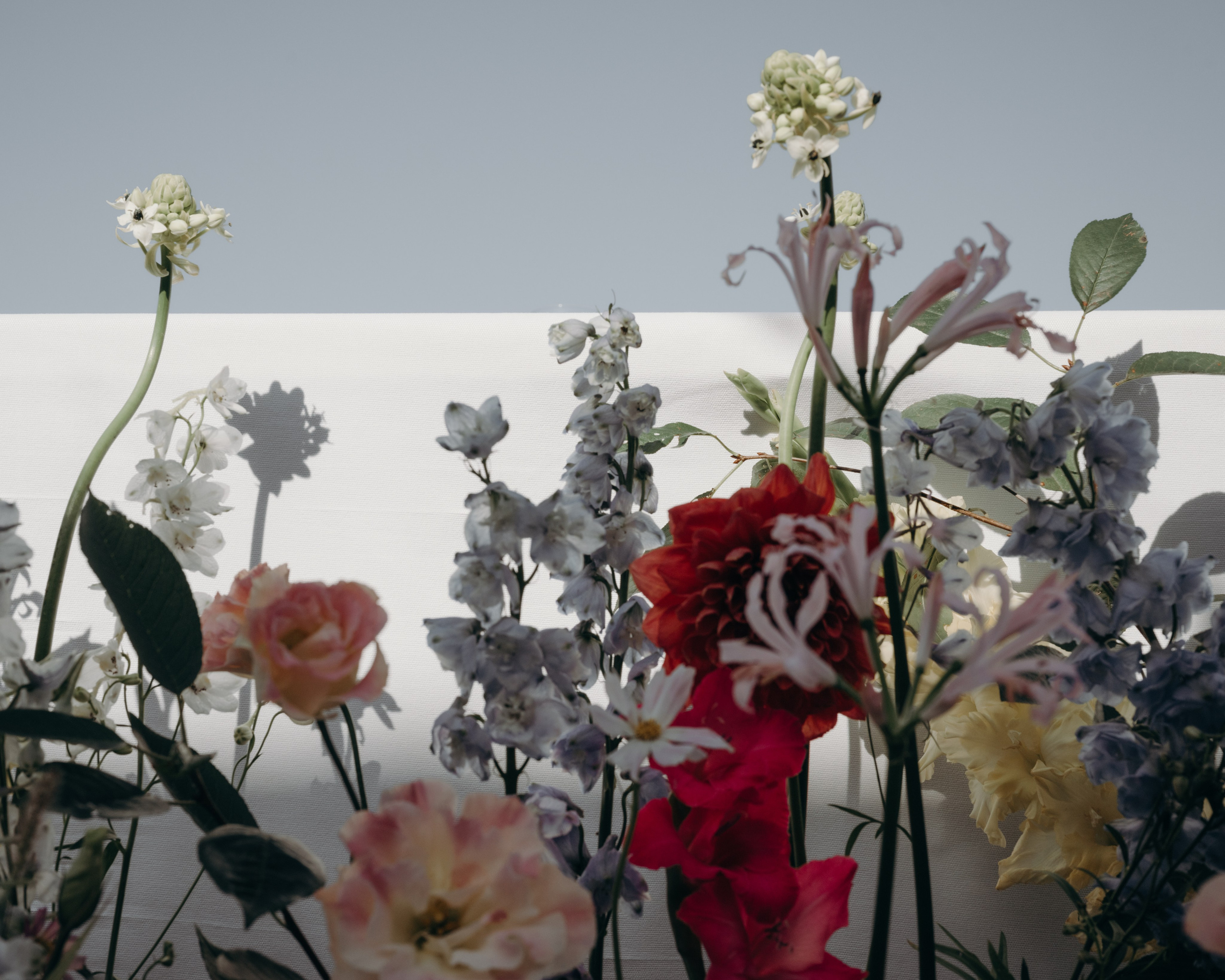 Max & Anna. Агентство по организации мероприятий