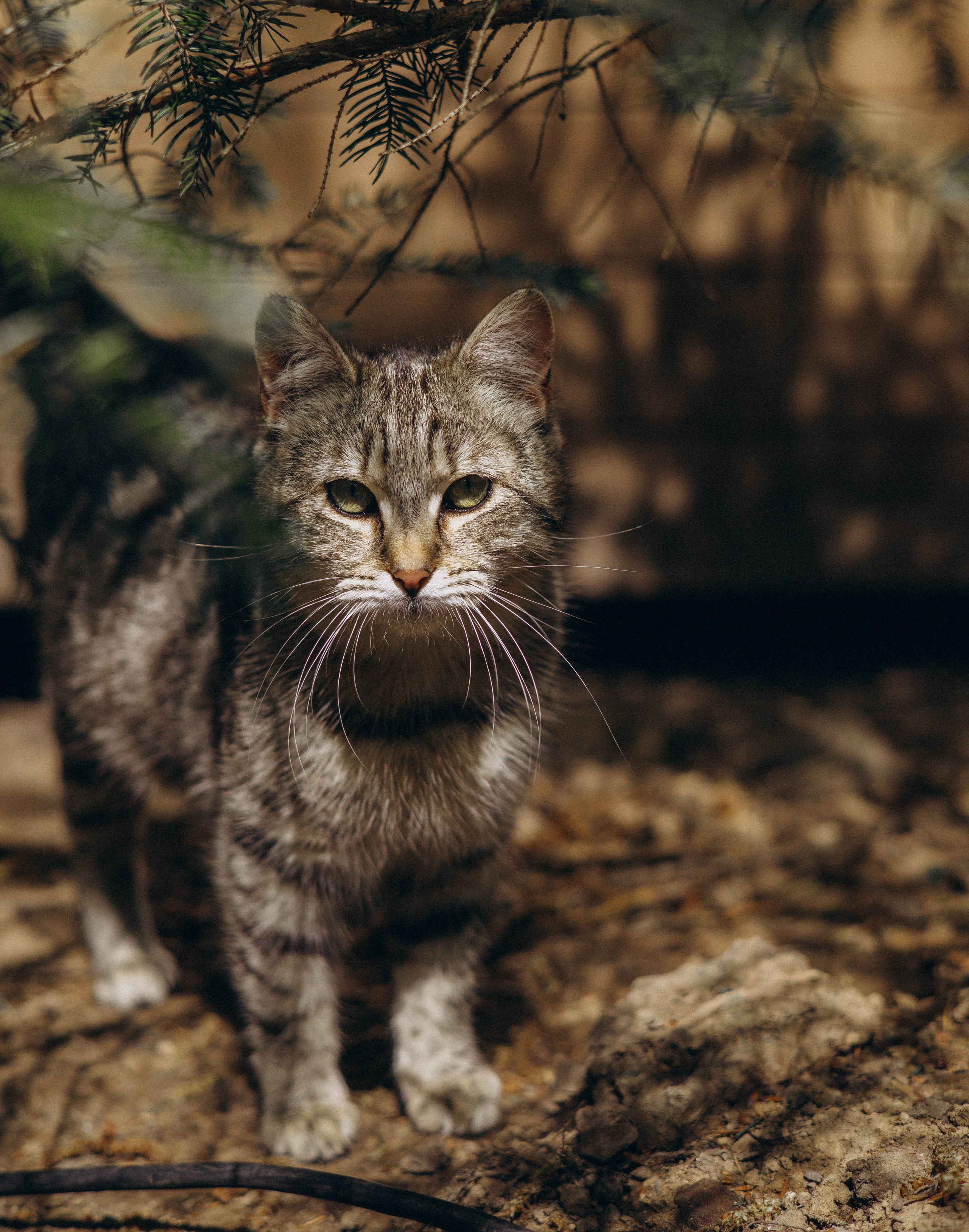 По Калининградской области. Фотограф Кострома | Калининград