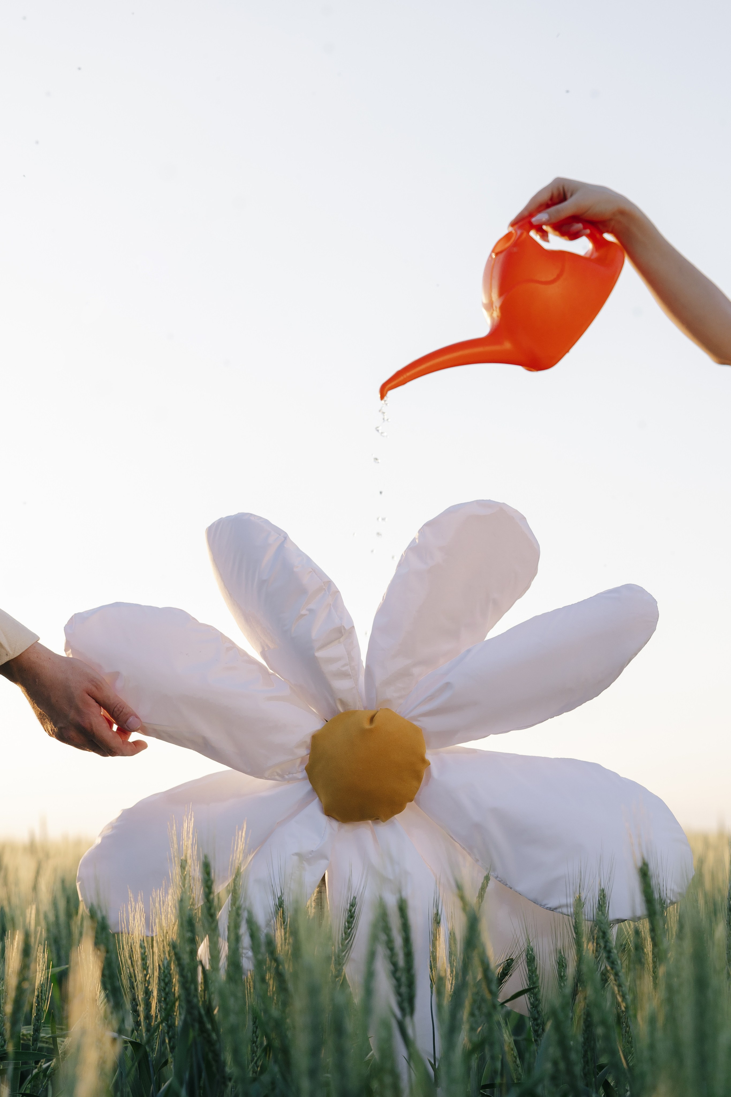 Ромашки. Свадебный фотограф Воронеж Москва СПБ