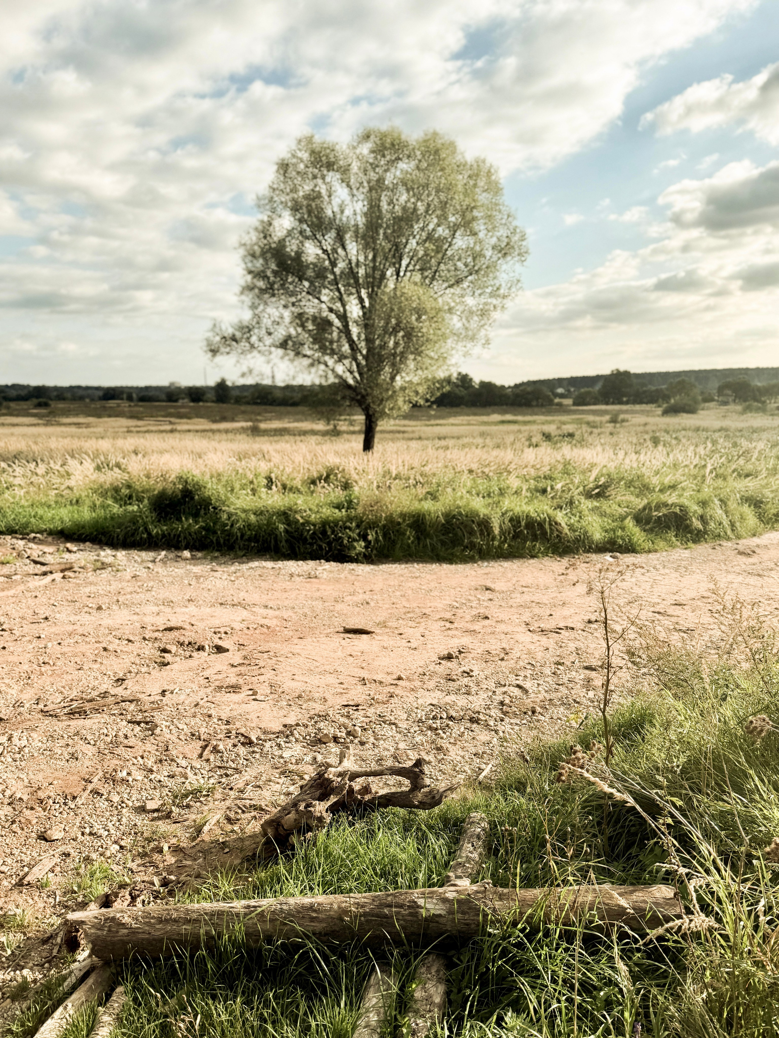Nature. Фотограф Арсений Королев