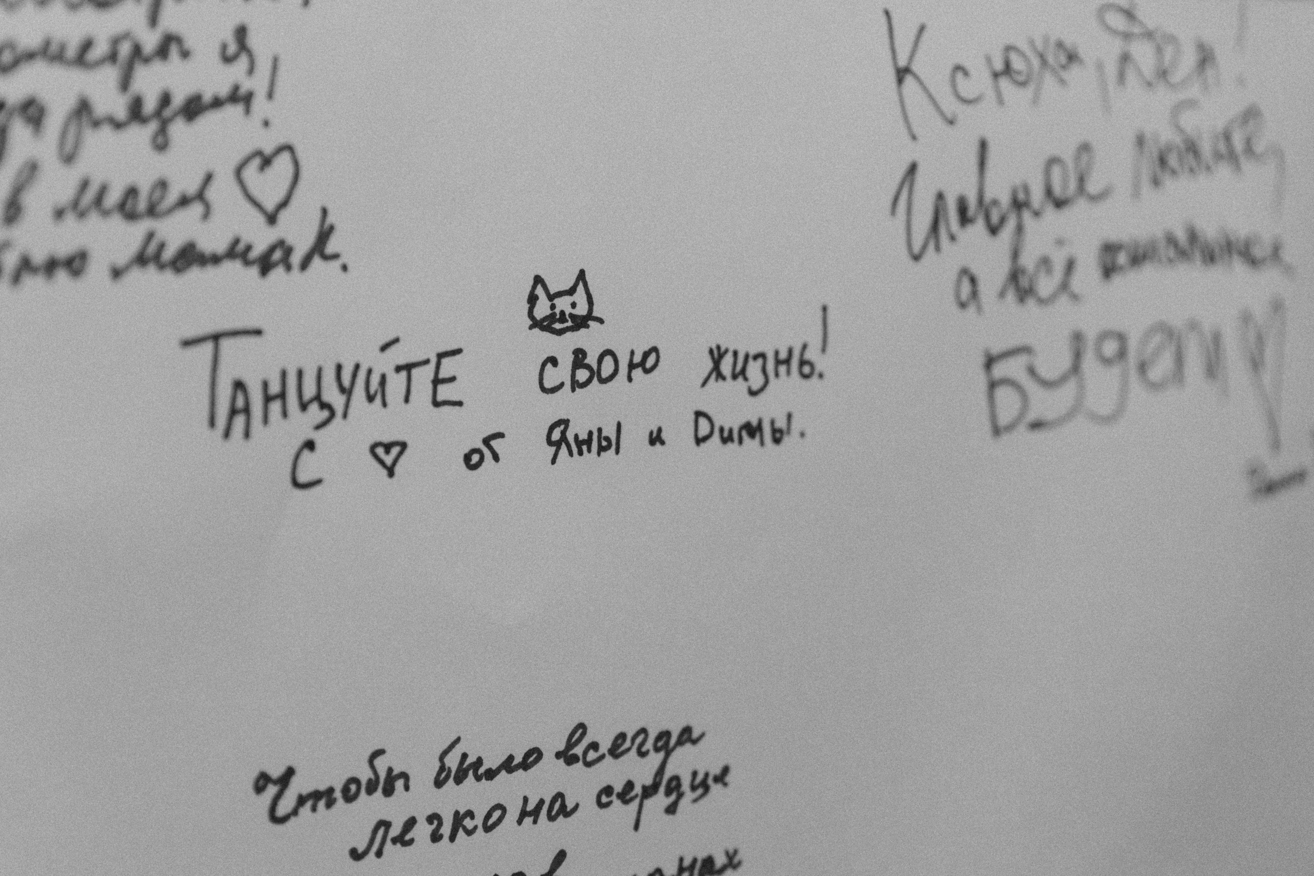 Нет, не случайно!. Свадебный фотограф в Краснодаре Алиса Михайленко