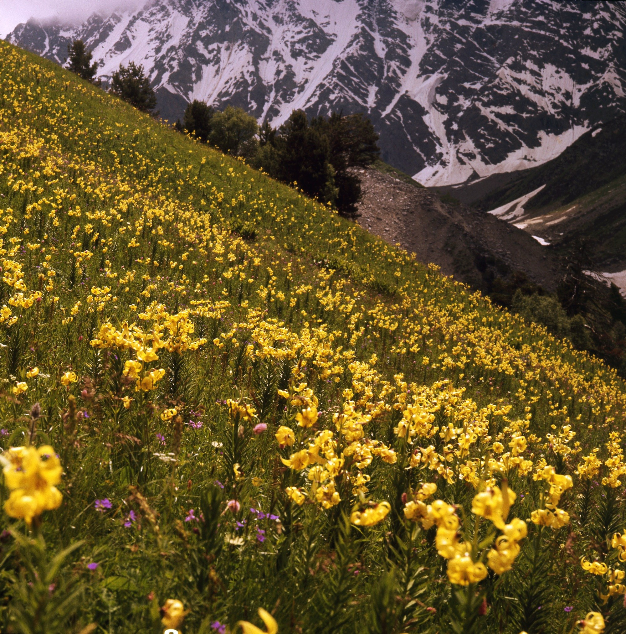 Кавказ. ВАДИМ ГИППЕНРЕЙТЕР — ВЕЛИКИЙ ФОТОГРАФ ЗЕМЛИ РУССКОЙ