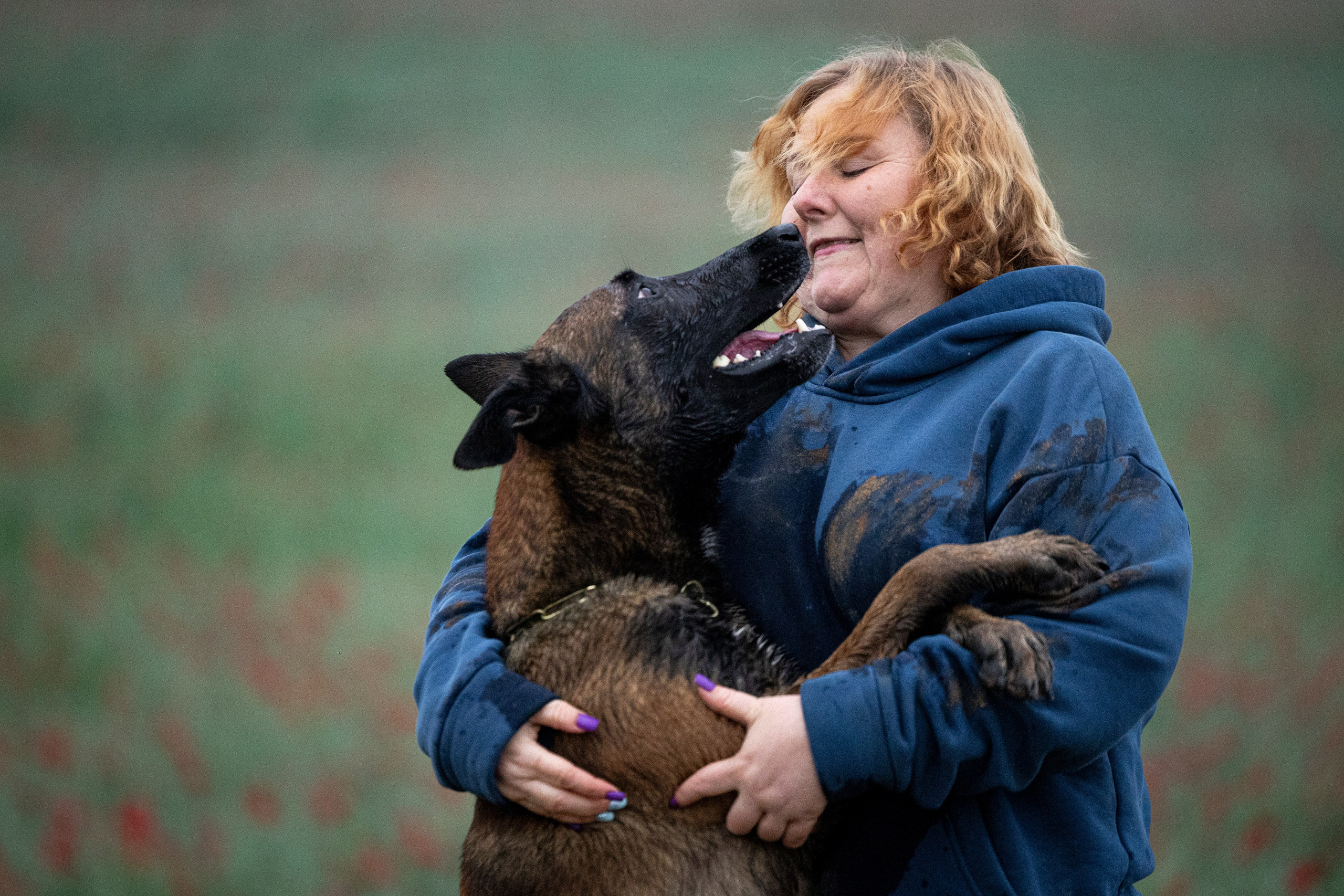 Маковое поле. Фотограф-анималист Анна Маринич