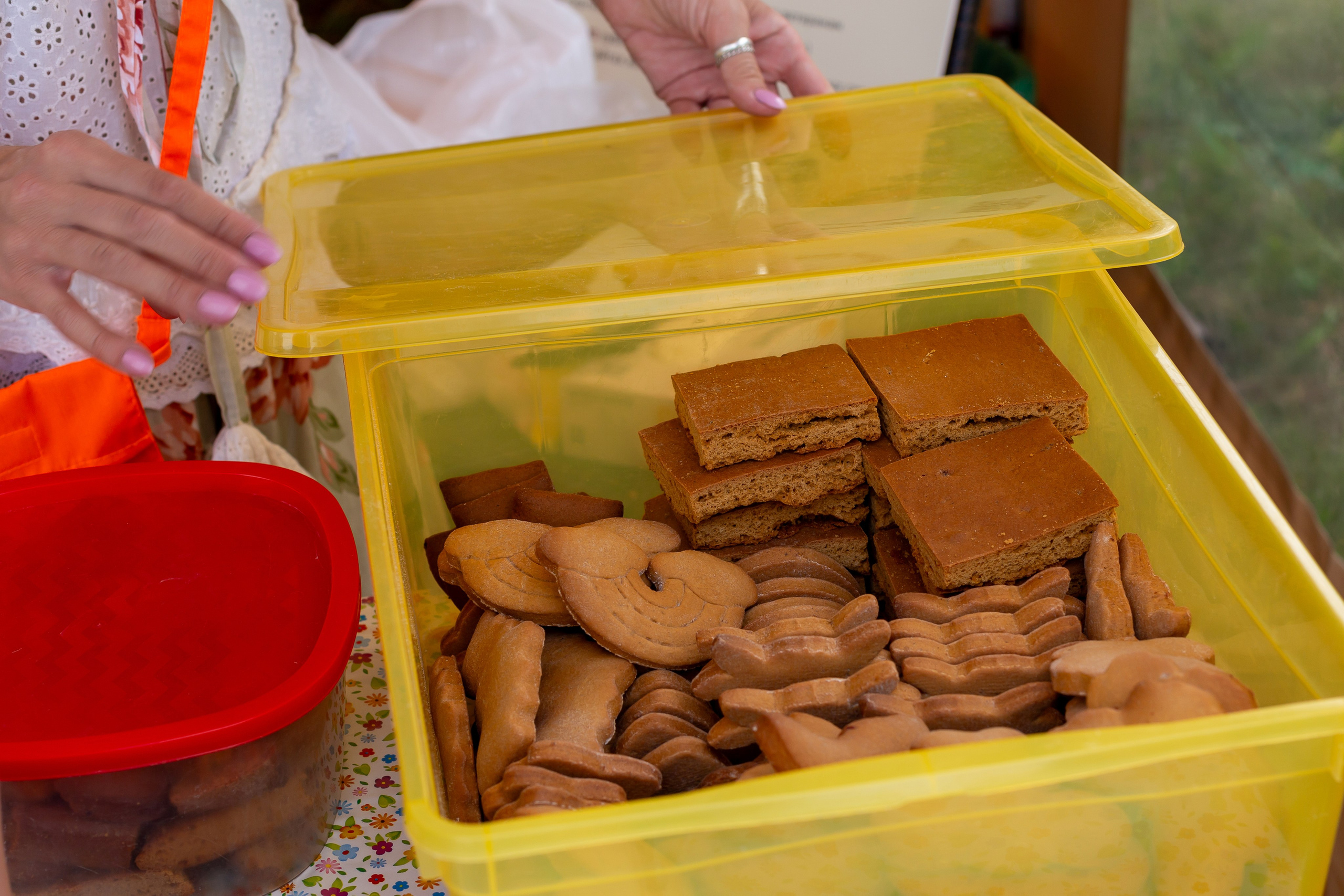 Карамельный лис. Ирина Квасова | Фотограф в стиле VOGUE | Тюмень