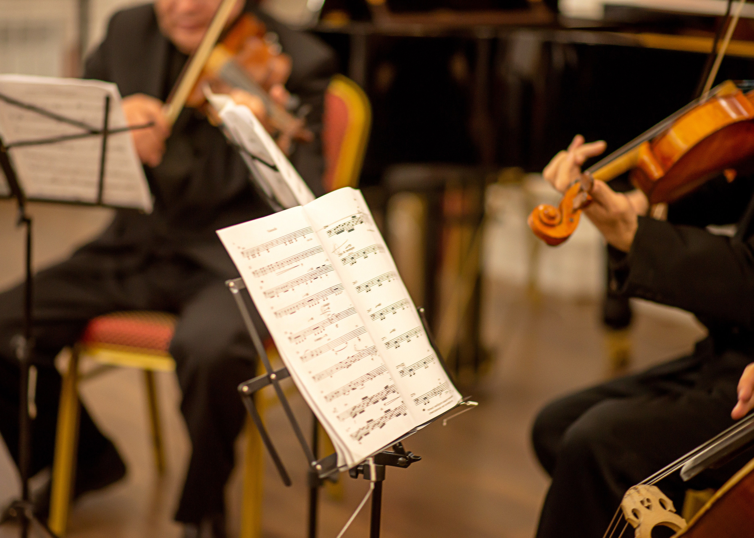 Репортаж, банкеты. Фотограф в Казани Надежда Вальшина. Свадебные, семейные, детские, индивидуальные фотосессии