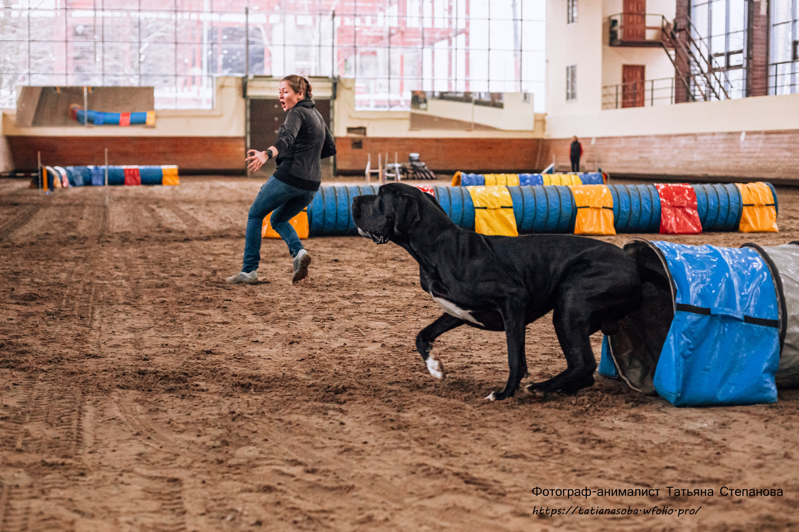 Соревнования по Аджилити 25.02.2024. Фотограф-анималист Татьяна Степанова