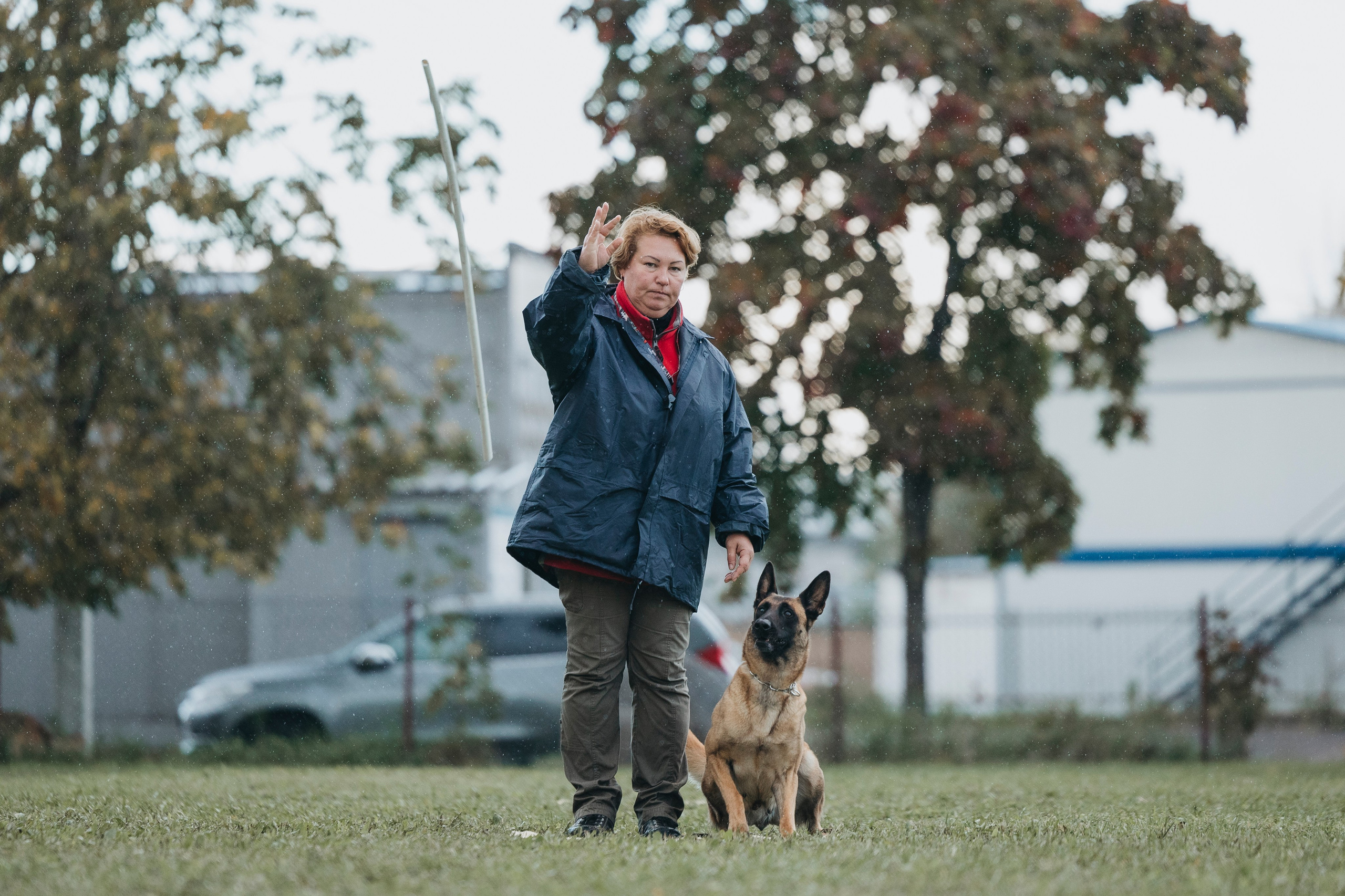 Испытания по мондьорингу г. Пушкин 29.09.2024. Фотограф-анималист Анна Маринич