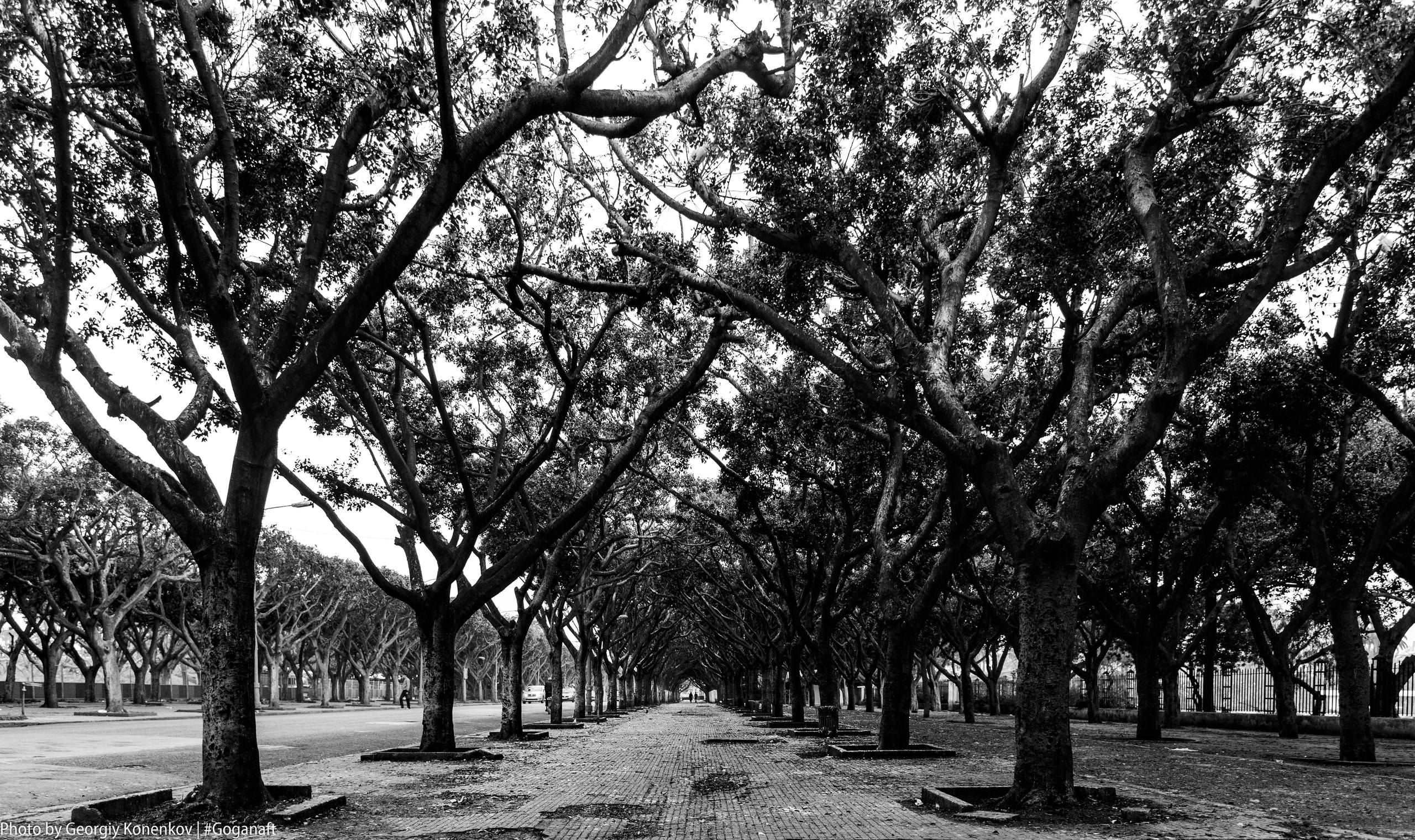 Goganaft.ru — Репортажный фотограф в Москве Георгий Коненков