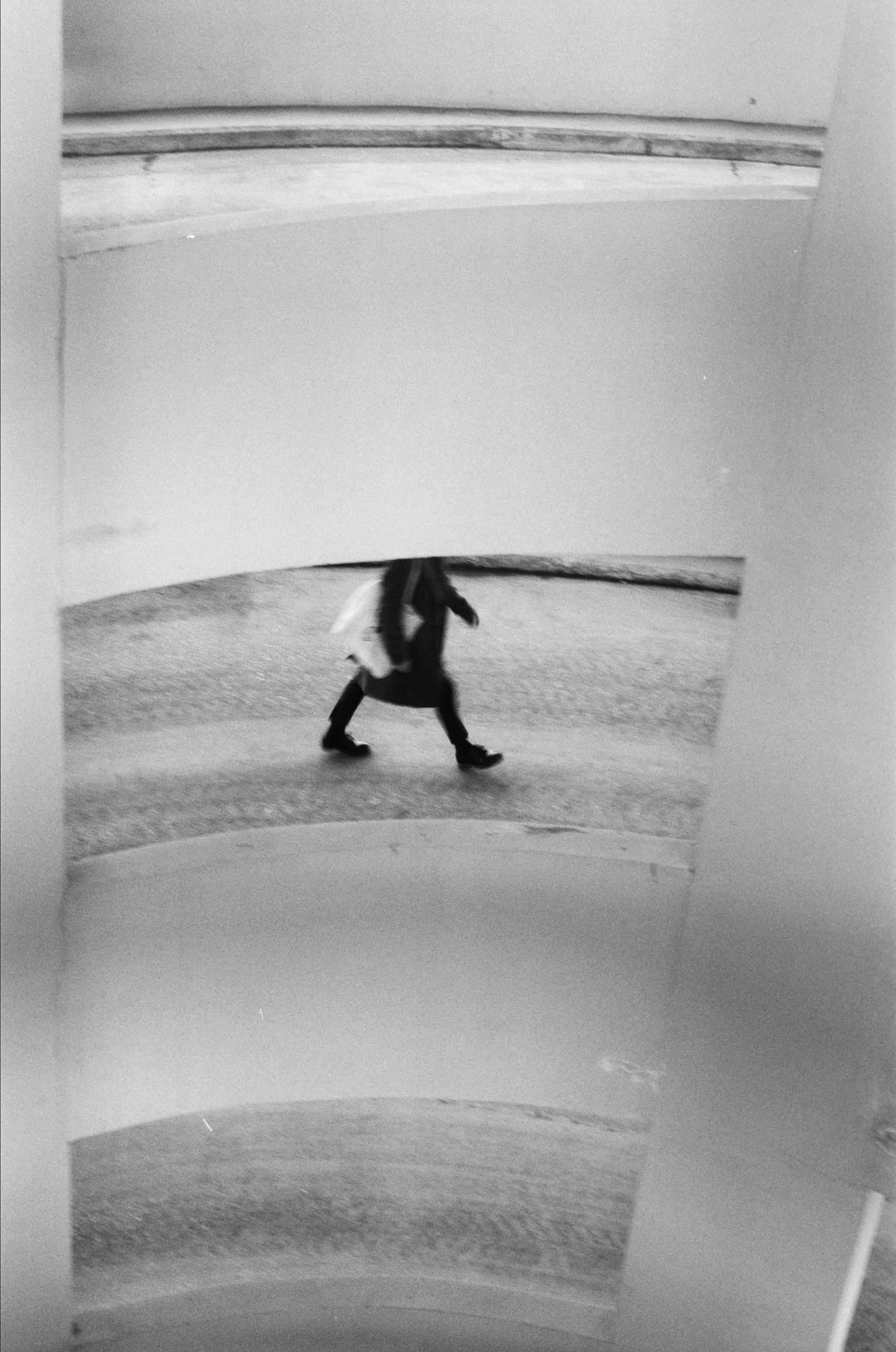 Misha. Анастасия Максимова, фотограф, москва