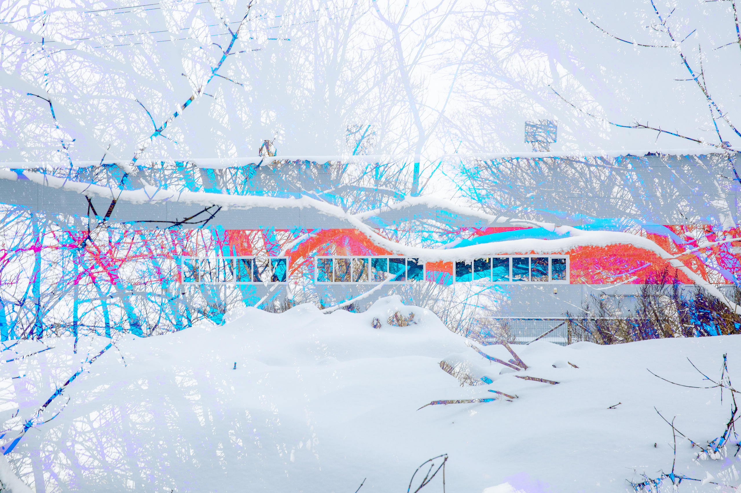 СТРОФА 2 — ЦВЕТОВЕДЕНИЕ. Photographer Anna Arzamastseva