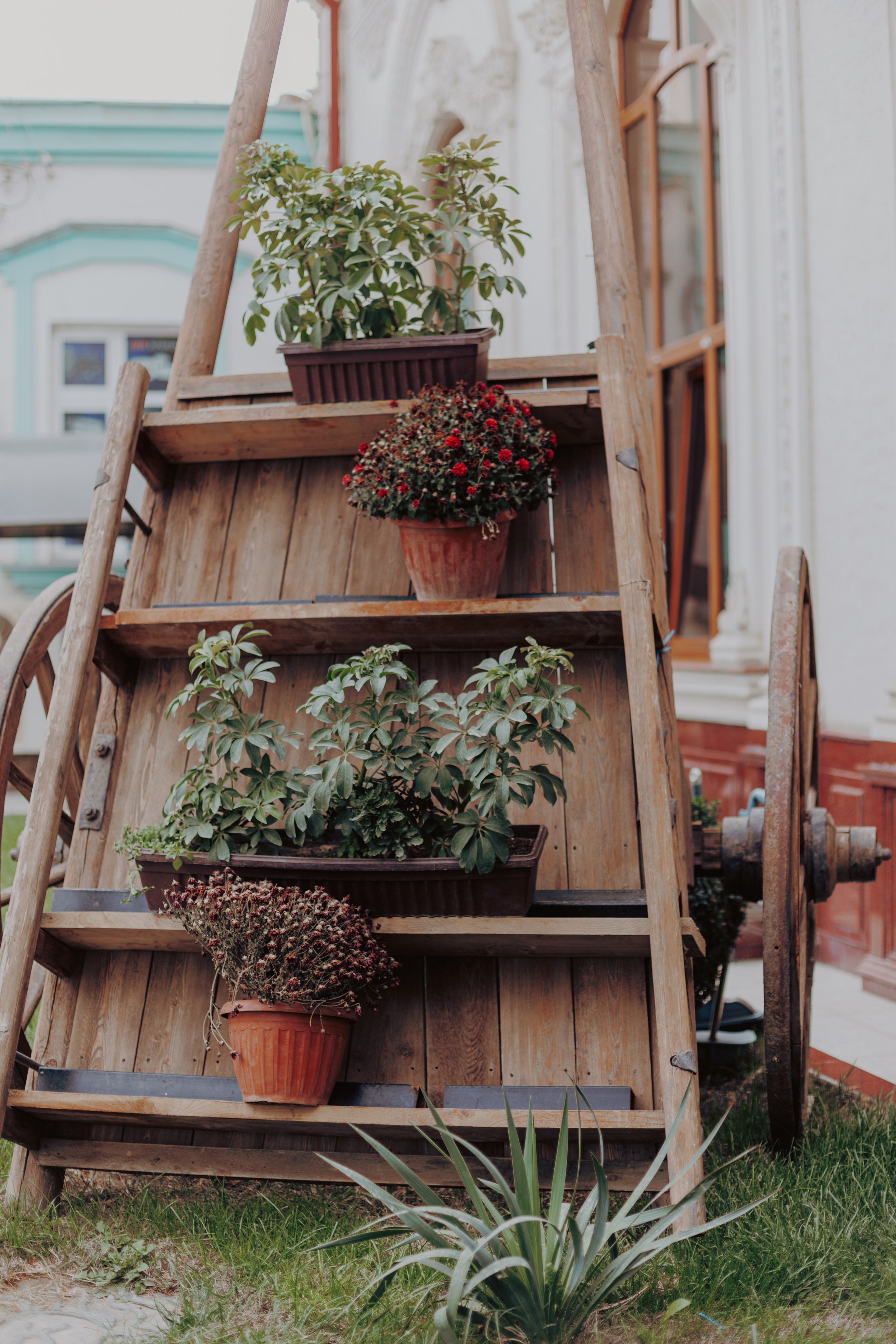 Узбекистан. Креатор Ольга Яш