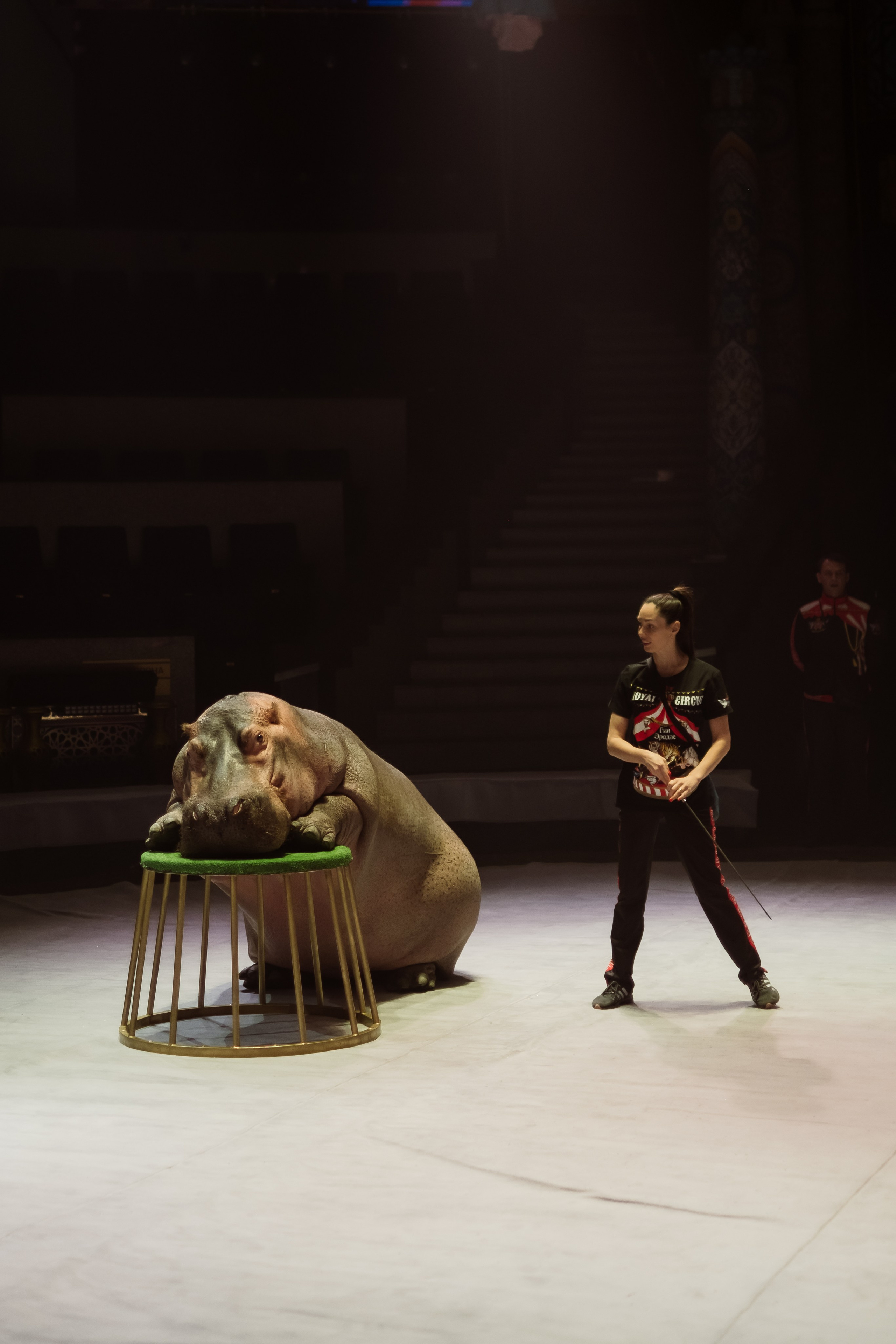 Репортаж. Фотограф Новосибирск Анна Рождественская