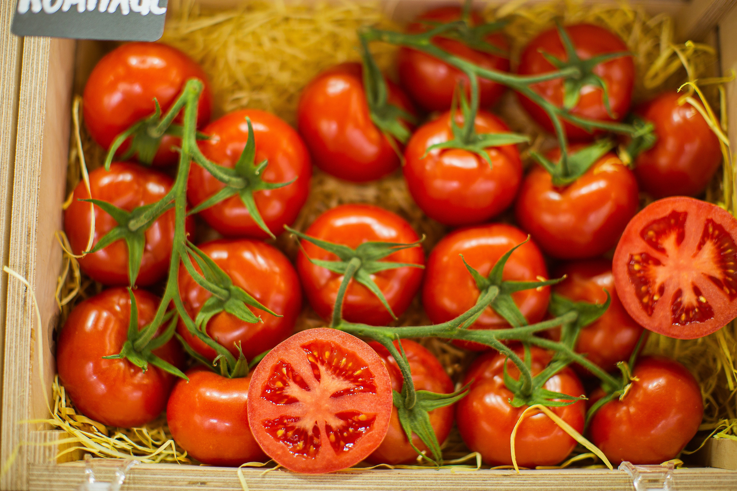 8/06/2021 ВДНХ. Фотограф НатаФото (Наталья Яковенко) Дмитров Москва Питер