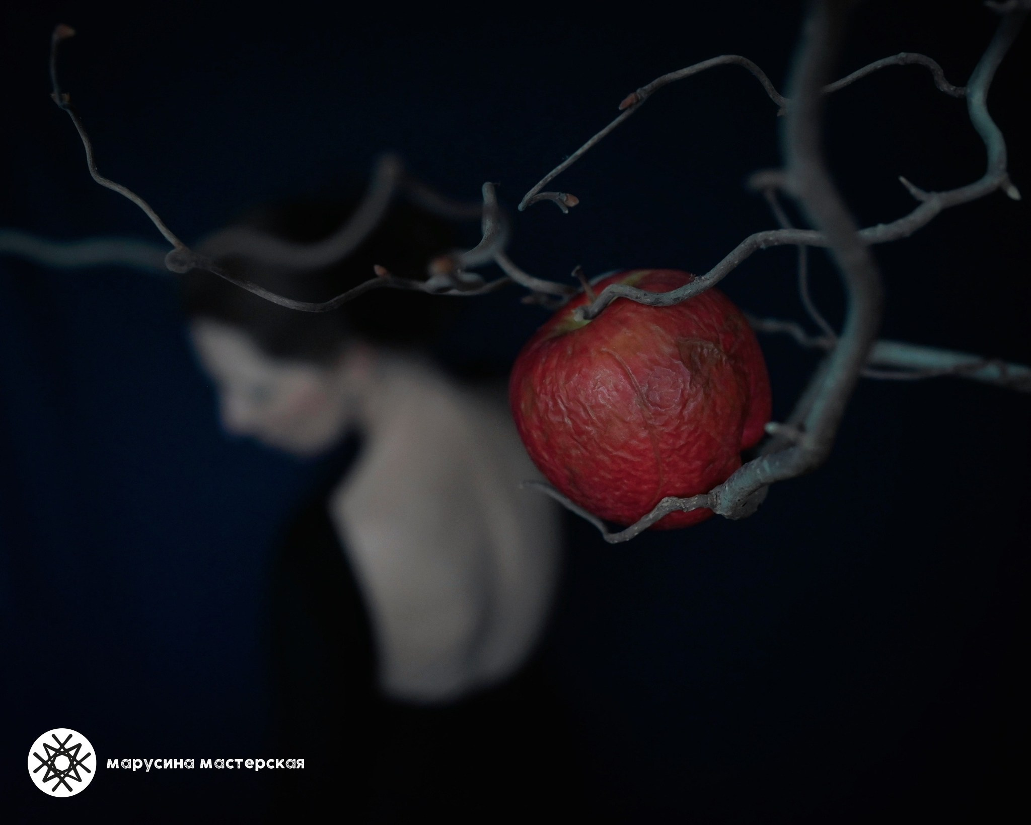 Авторская фотография Алены Лучининой, участницы клуба «Пространство»