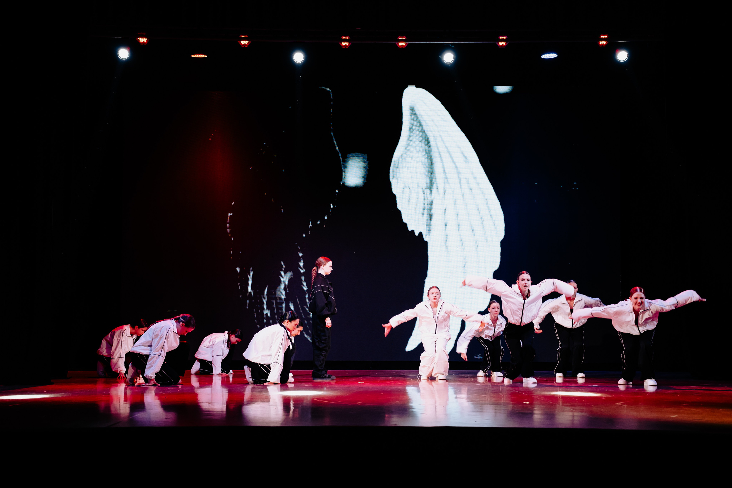 Концертная форма. Фото